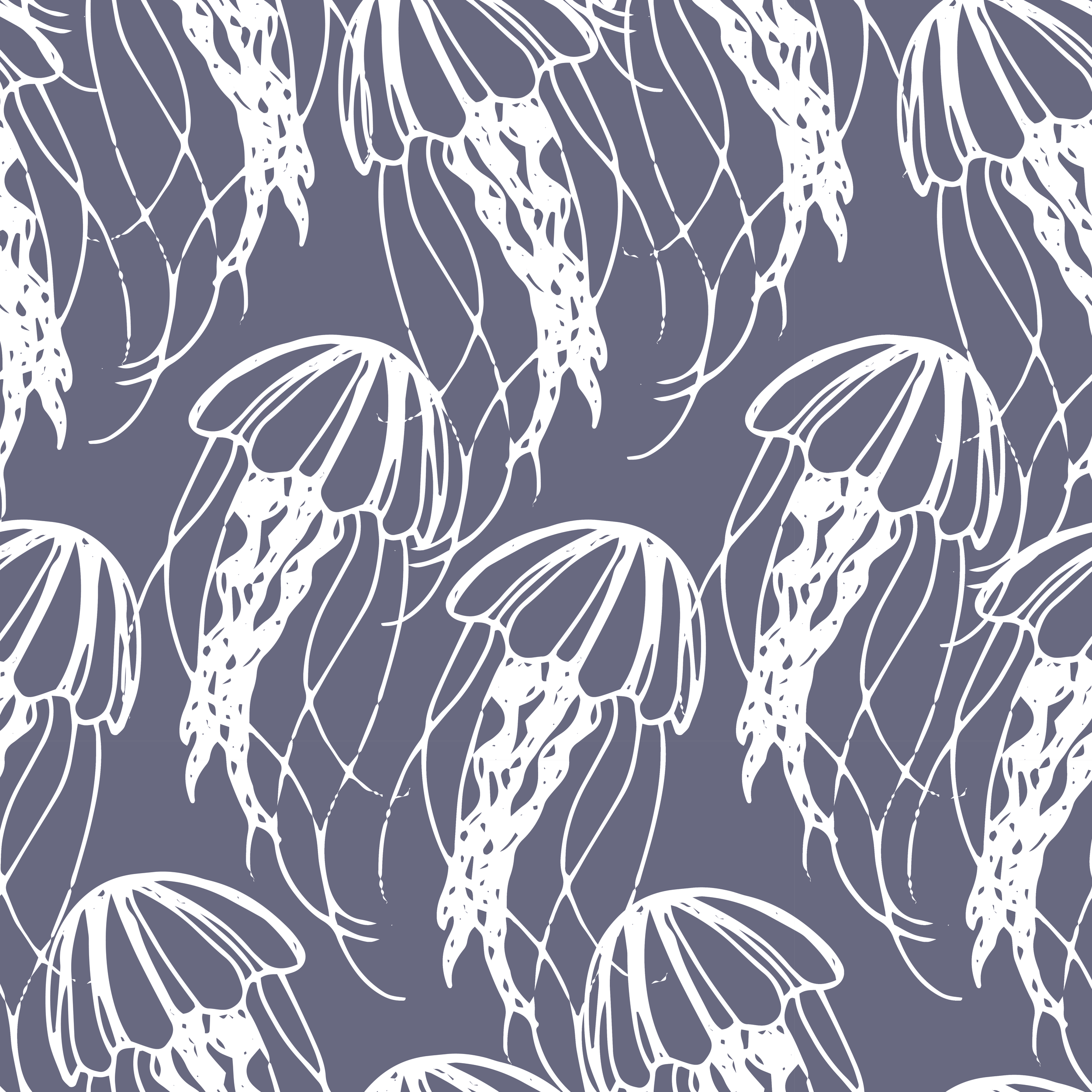 MANETERNA_19011_SQ_closeup.png