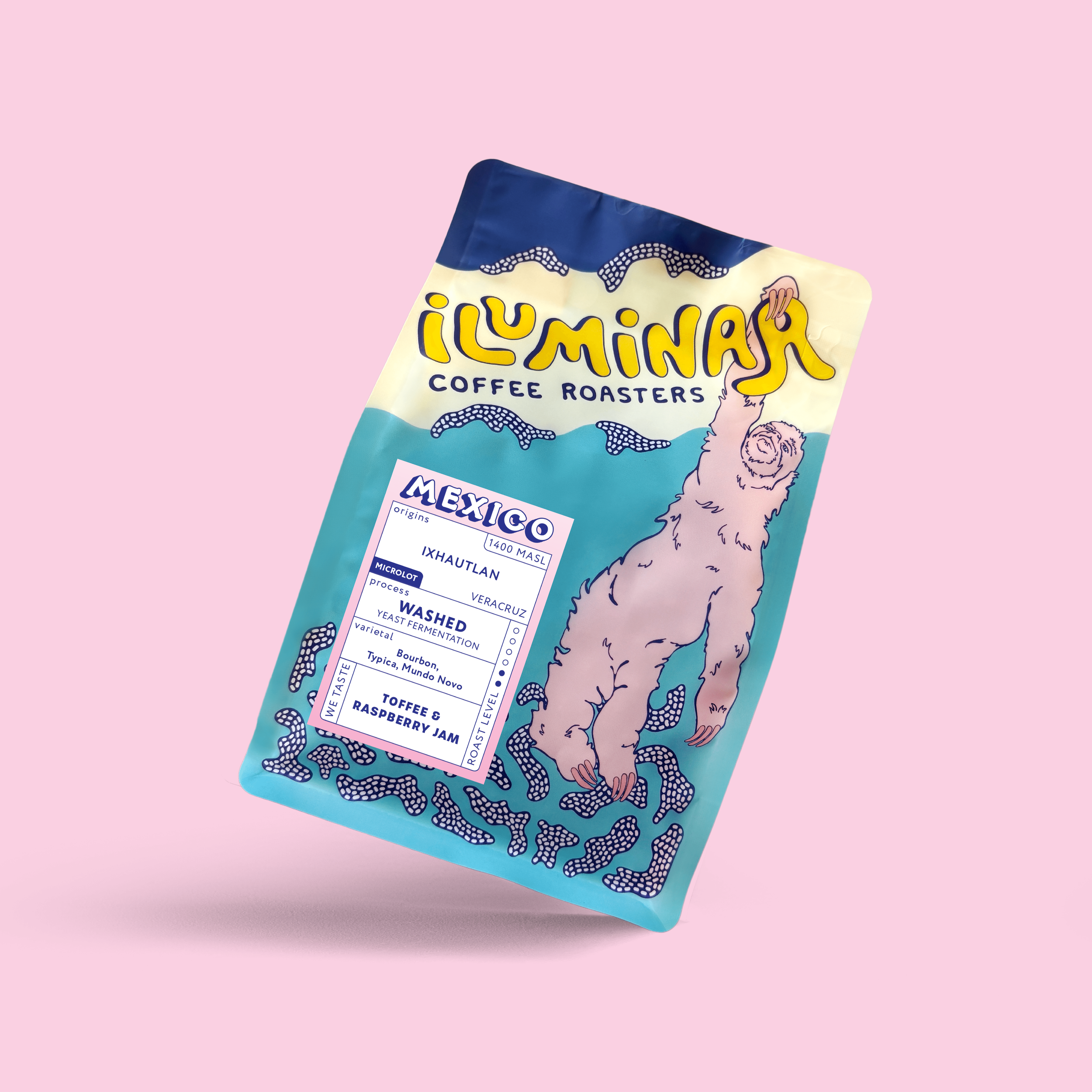 mexico_bag_website@4x-8.png
