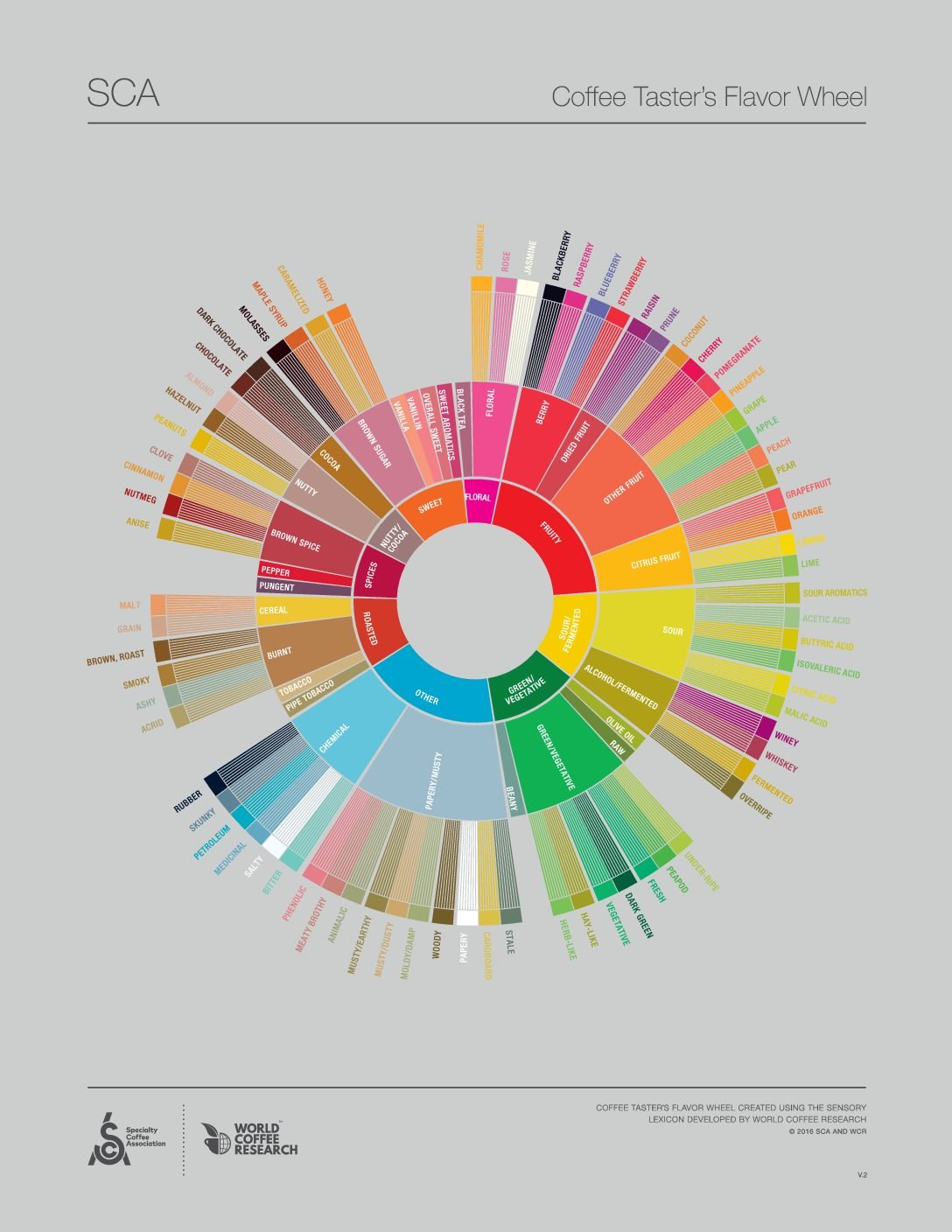 Introducing the Coffee Taster's Flavor Wheel: Understanding the Art of Coffee Tasting