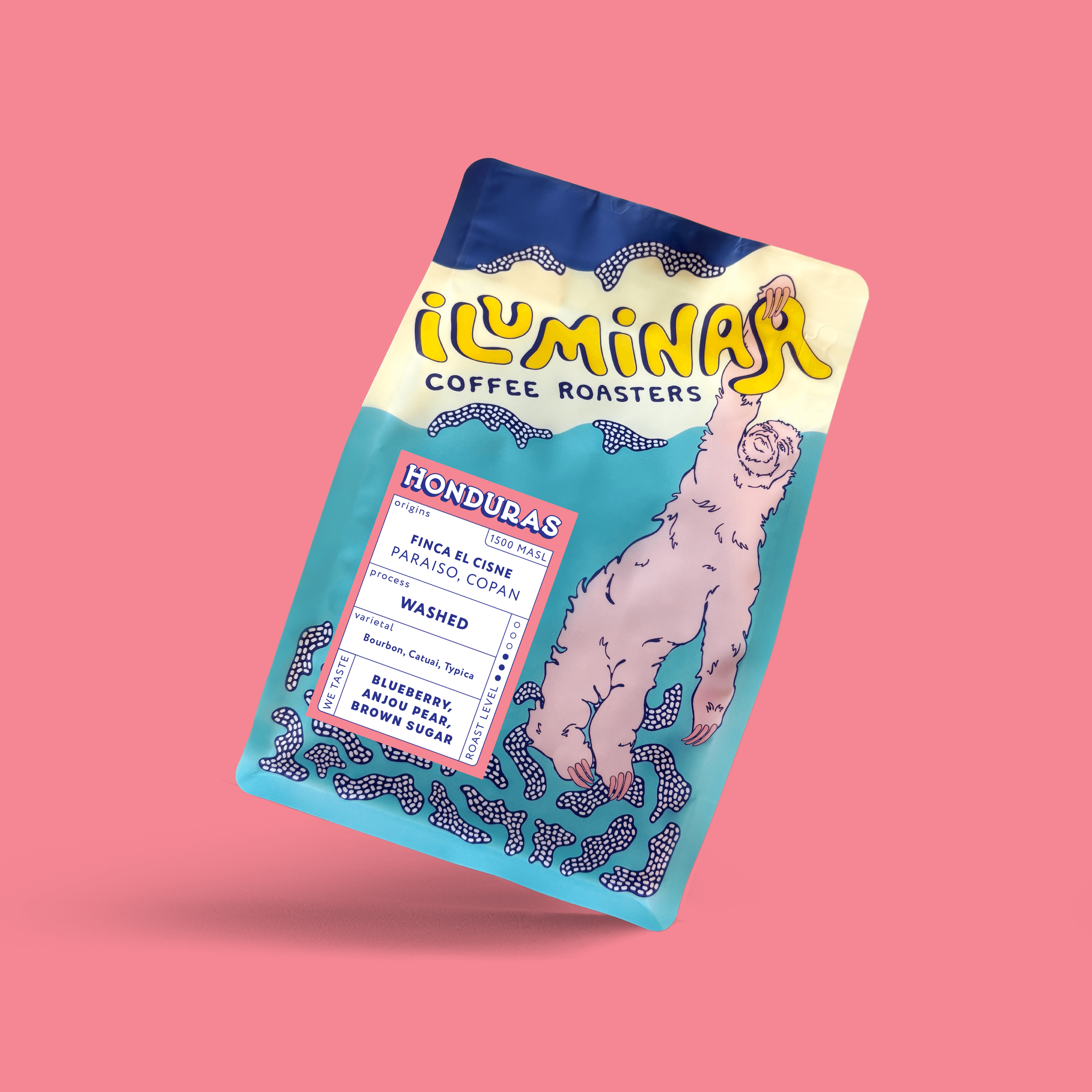 honduras_bag_website@4x-8.png