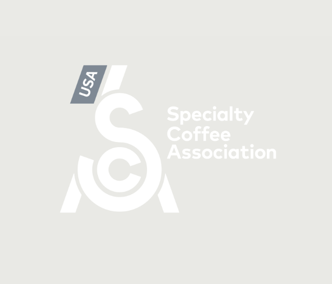 Screen Shot 2023-01-27 at 9.00.21 AM.png