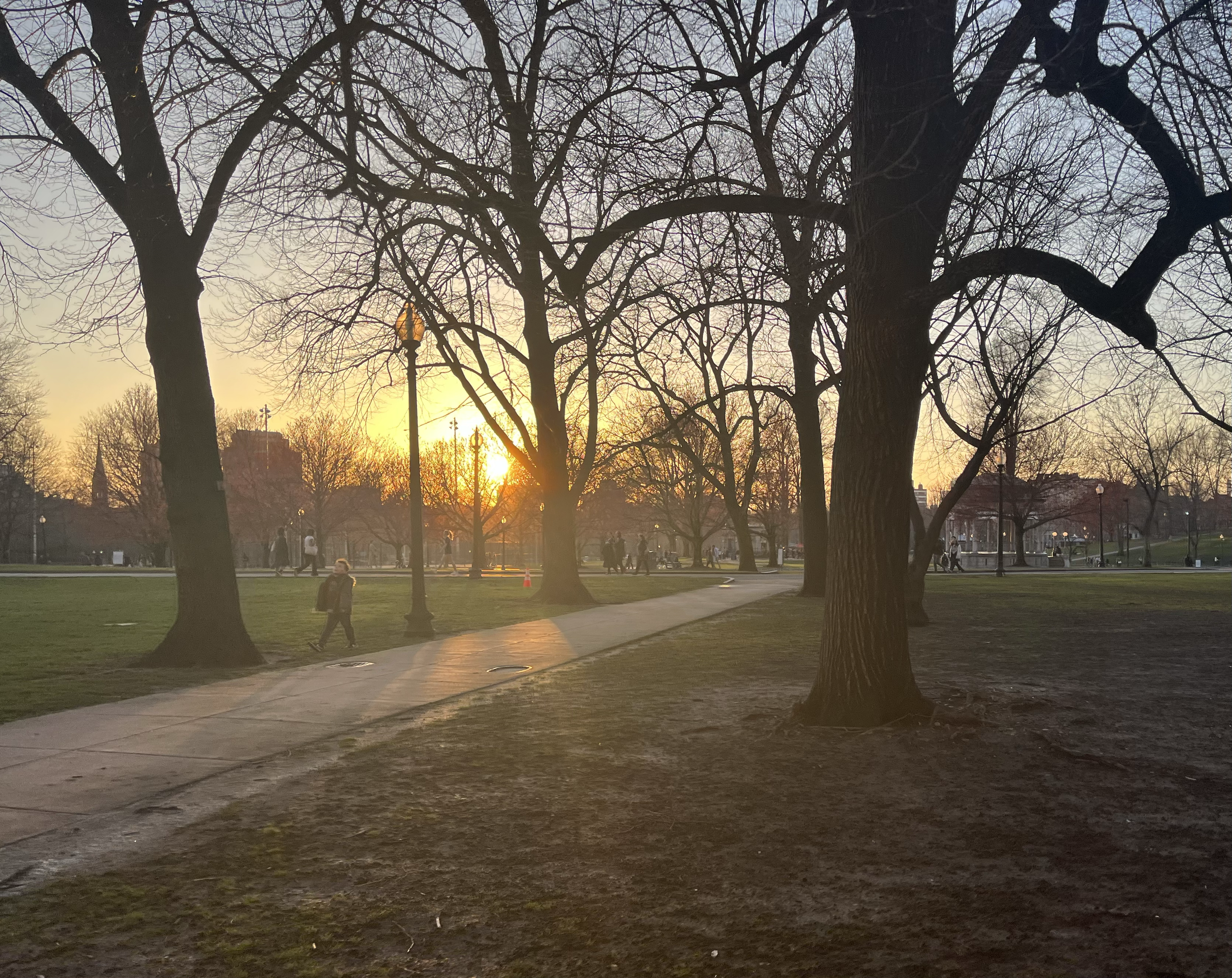 Boston Common 2023