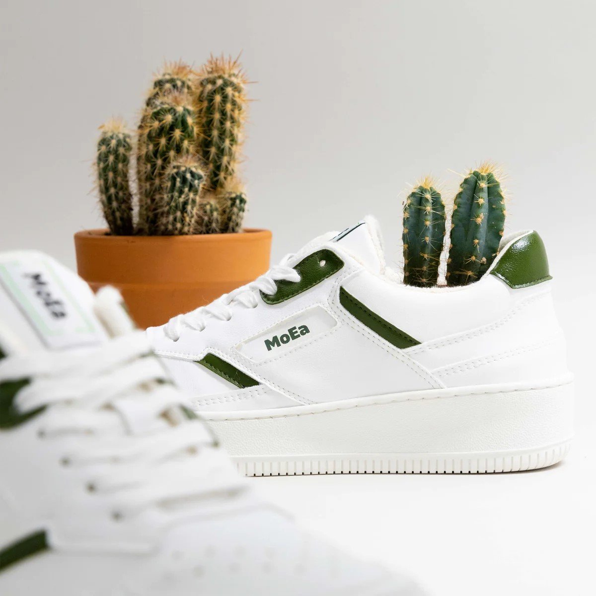 moea-sirene-trainers-cactus-1