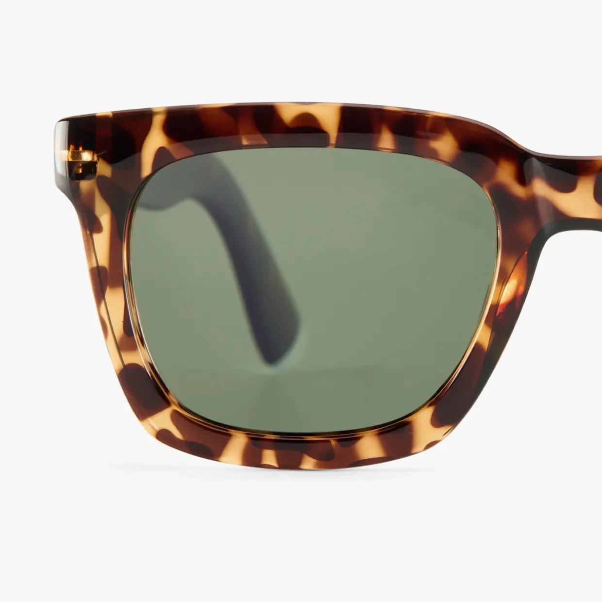04-Max-SUN-Tortoise-Frame.webp