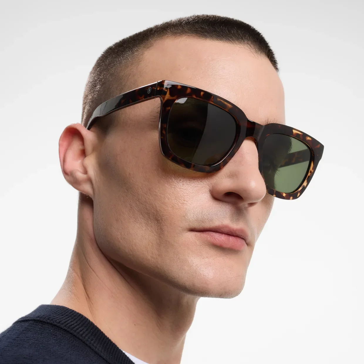 03-Max-SUN-Tortoise-Model-1.webp