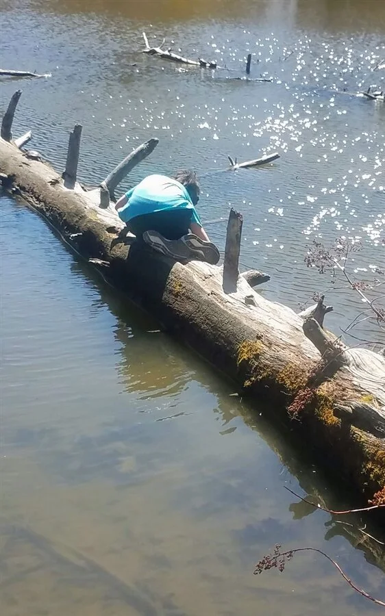 Portland Public Schools: PPS Educators Win Outdoor Learning Grants