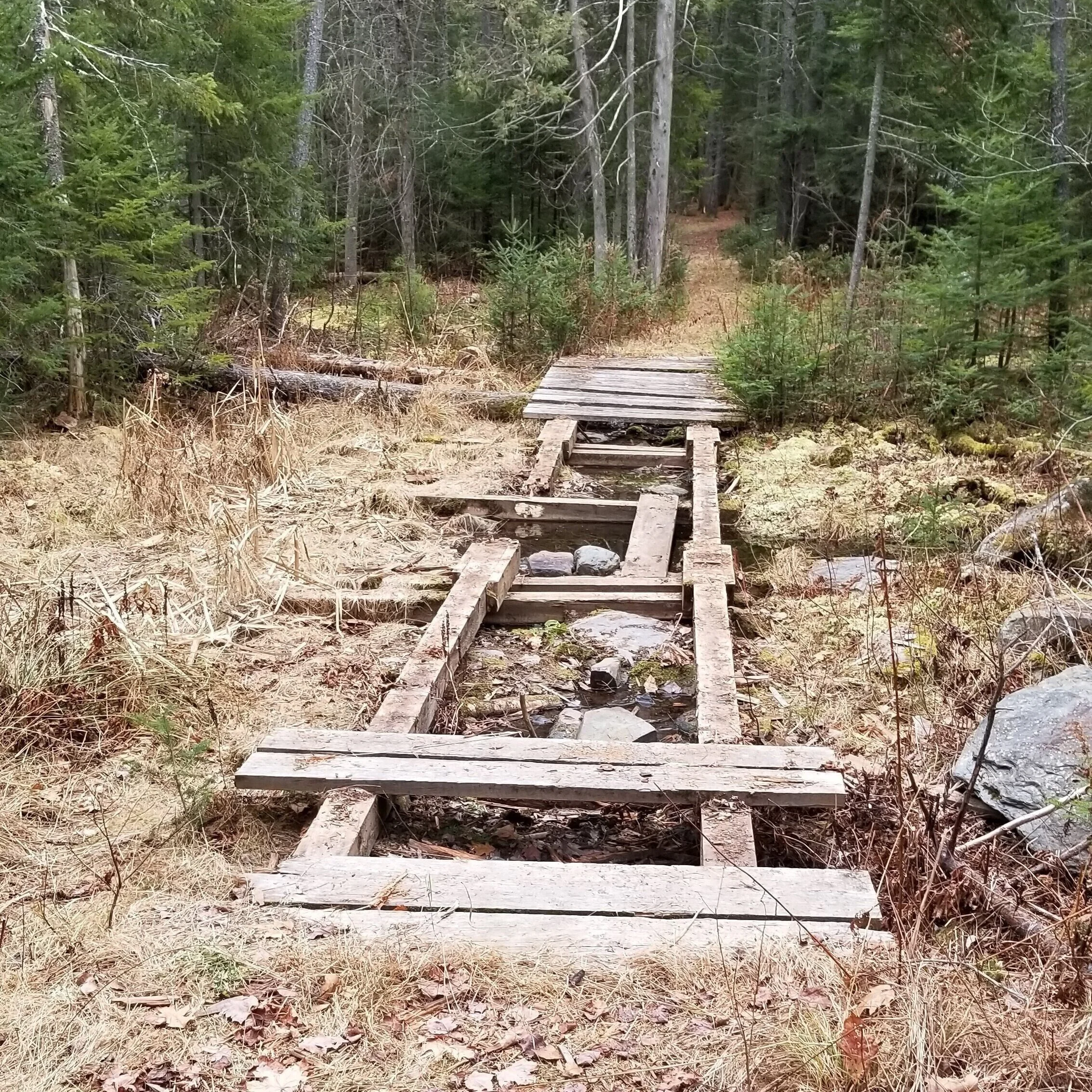 Piscataquis Observer: Grant to help repair trail bridge at Greenville school