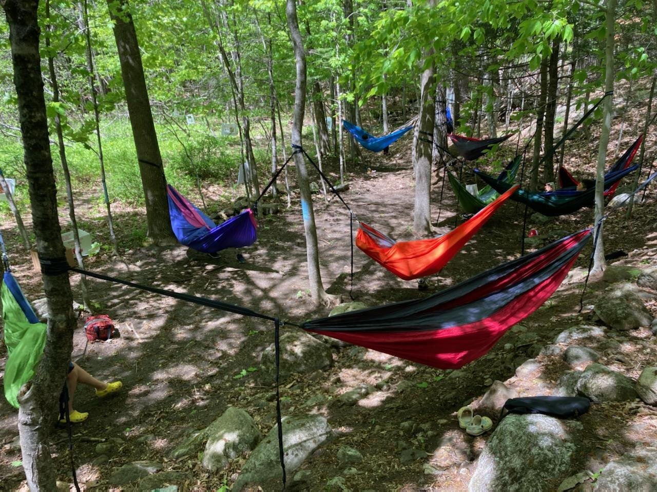 Outdoor Learning at Agnes Gray