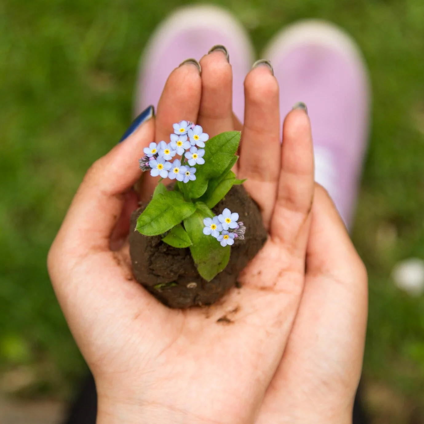 Nature Based Education Consortium grows!