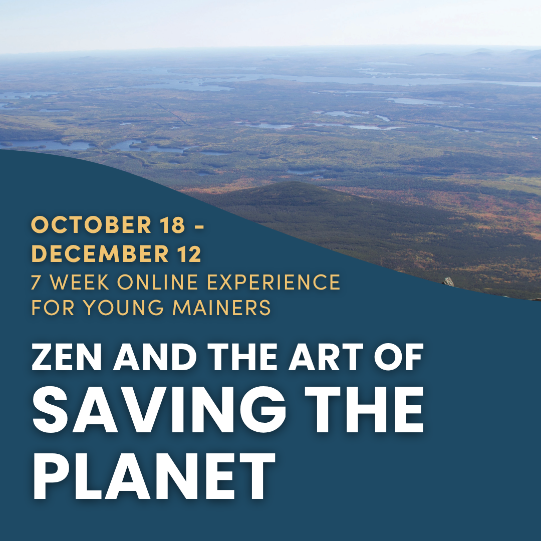 Zen and the Art of Saving the Planet