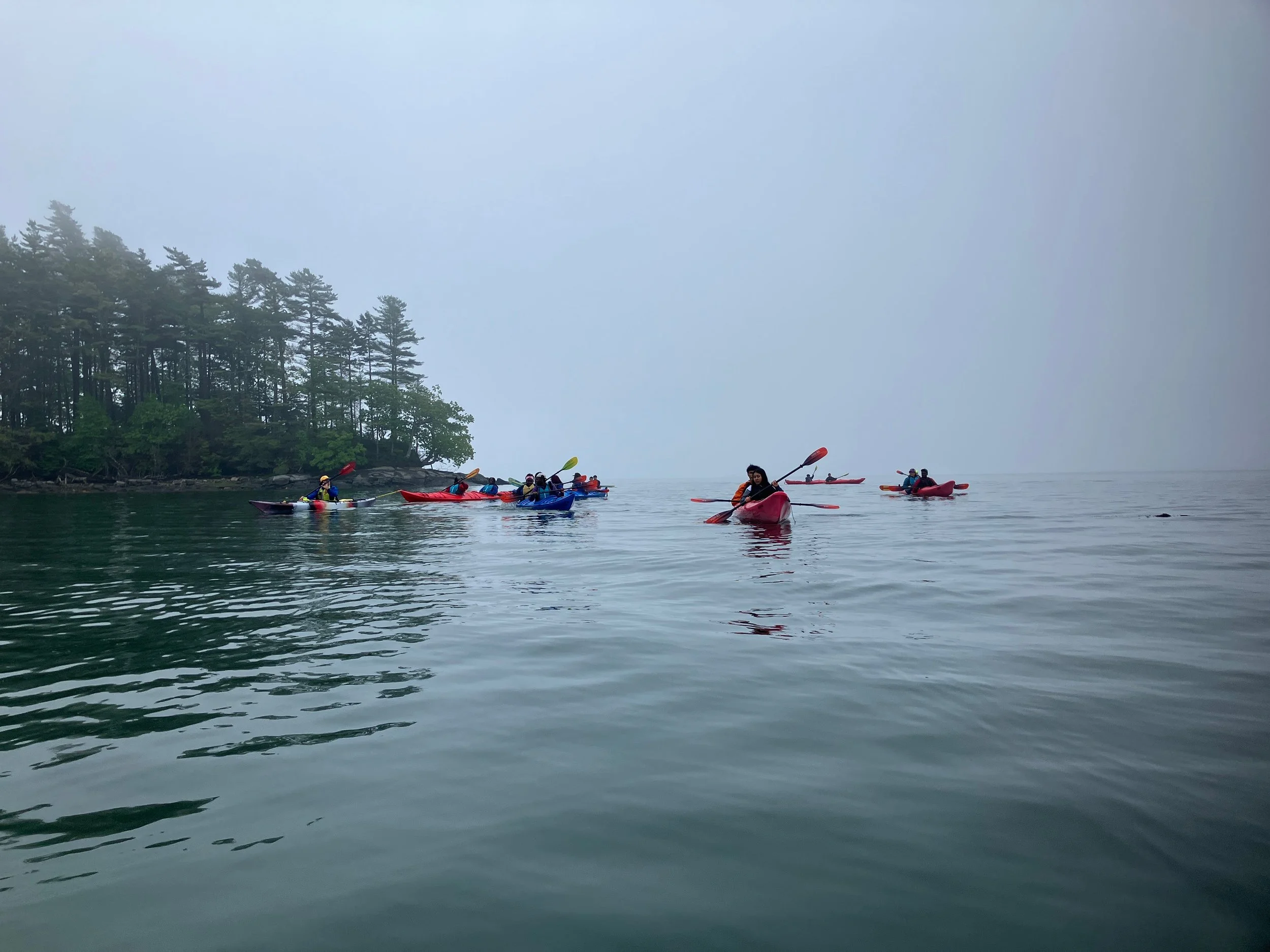 A group of high schoolers in red kayaks on the Casco Bay on a foggy day