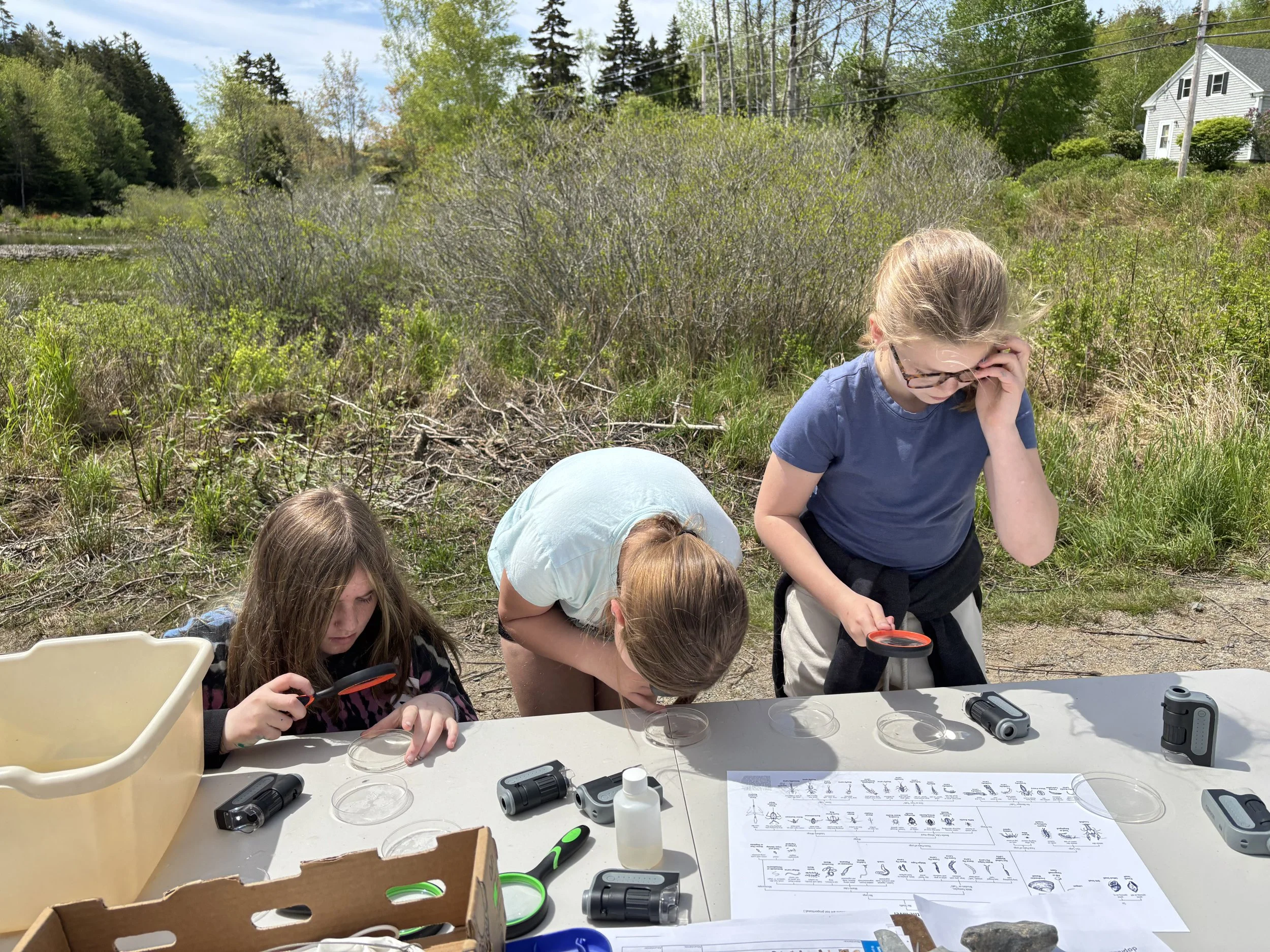 Three girls using magnifying glasses on a table looking at specimens outside.