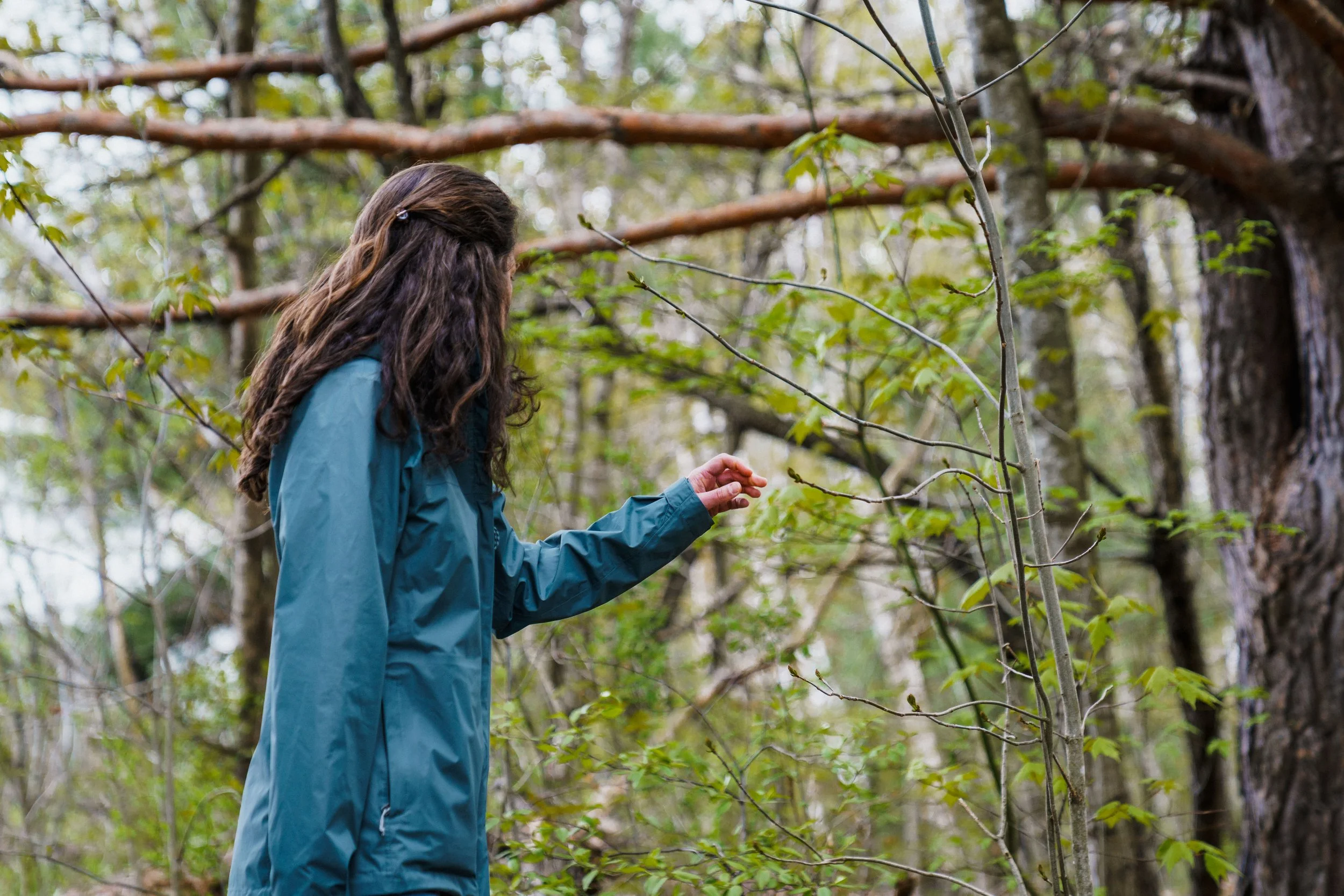 A woman with long brown curly hair and a teal blue rain coast reaches her hand out to touch a branch of a tree in the woods.