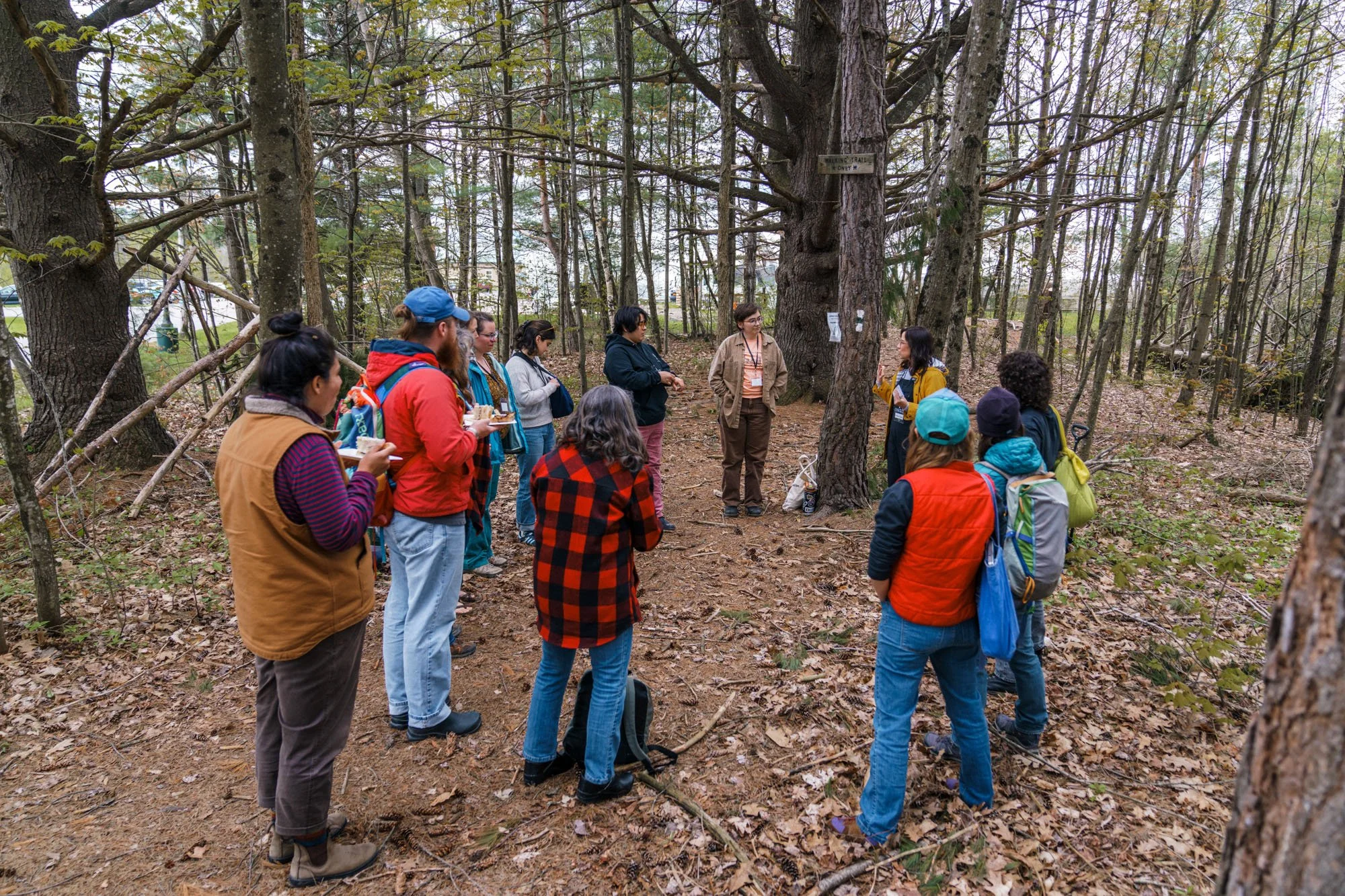 A group of people standing in a circle in the woods underneath evergreen trees.