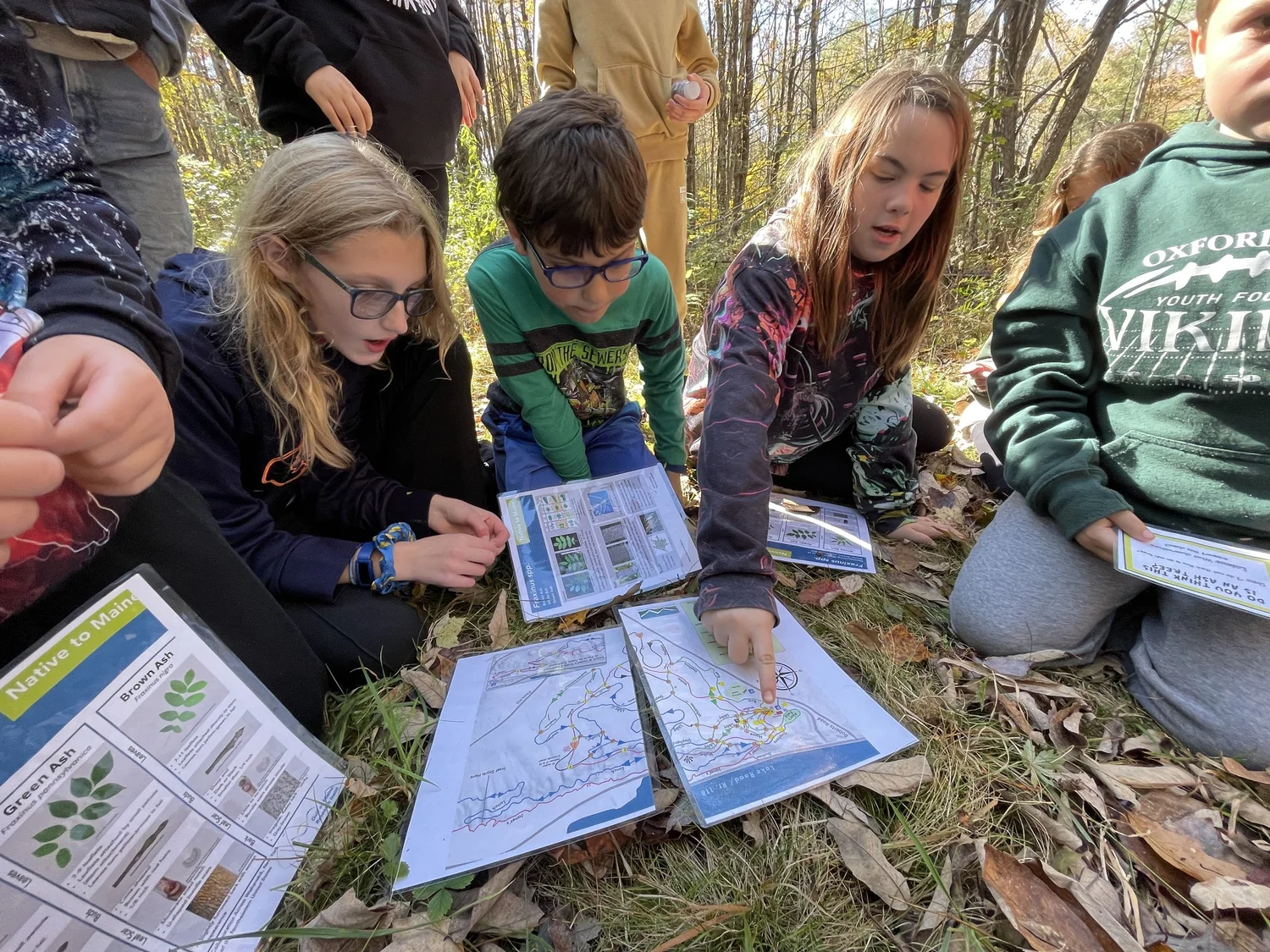 Maine Environmental Education Association