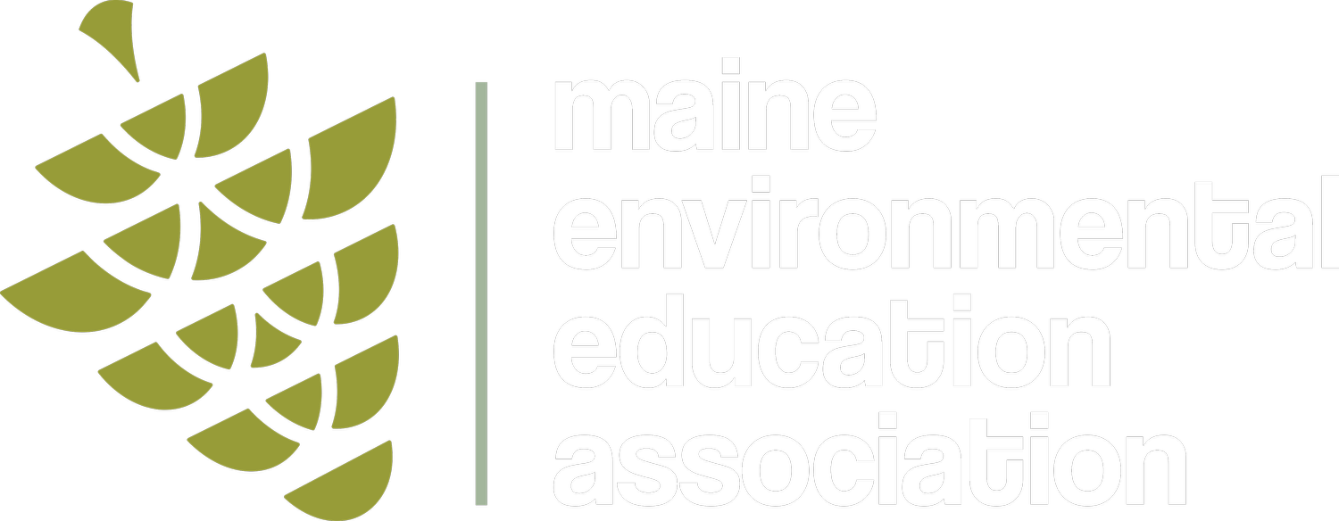 maine environmental education association