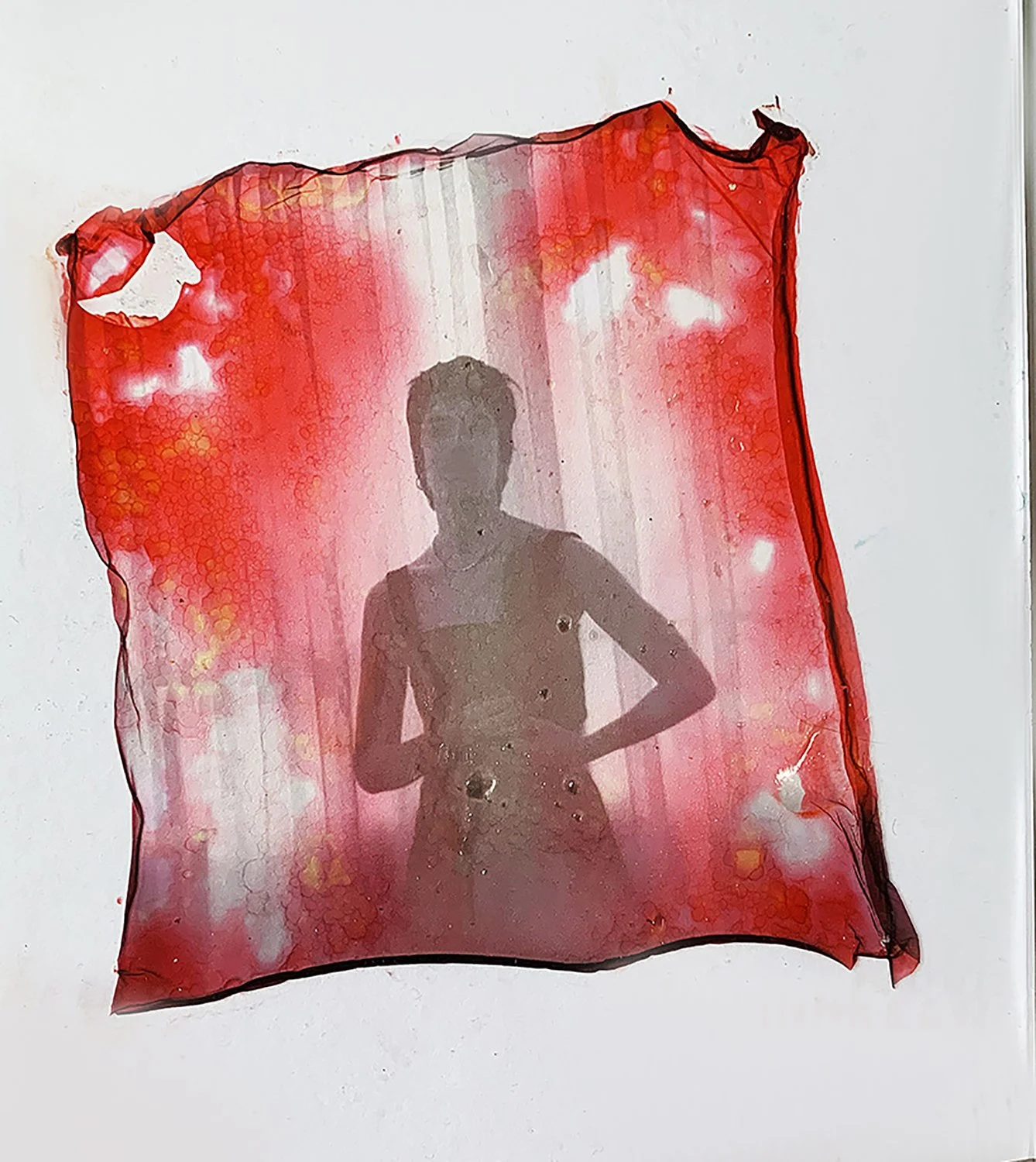polaroid20.jpg