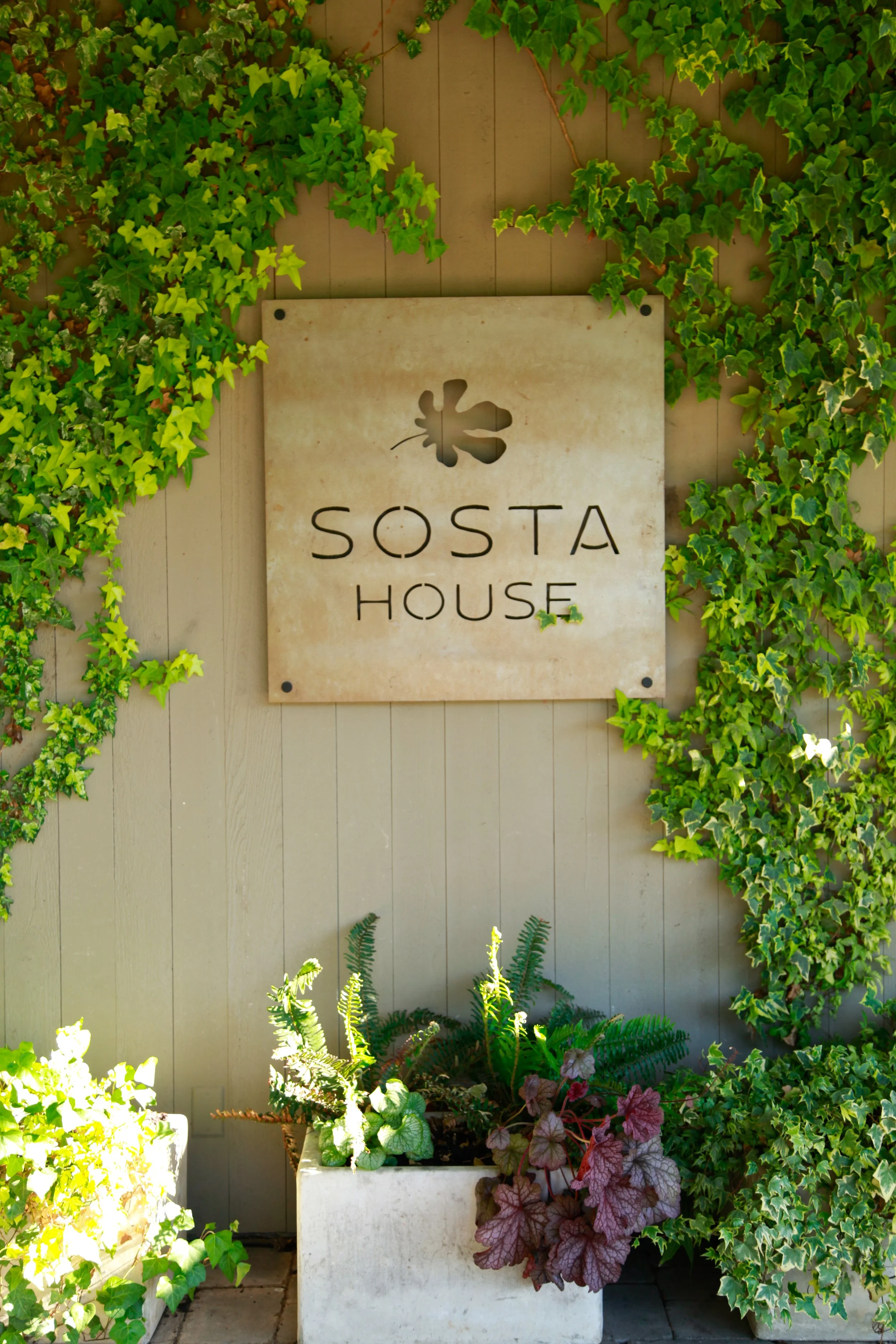 sosta-archive-229.jpg