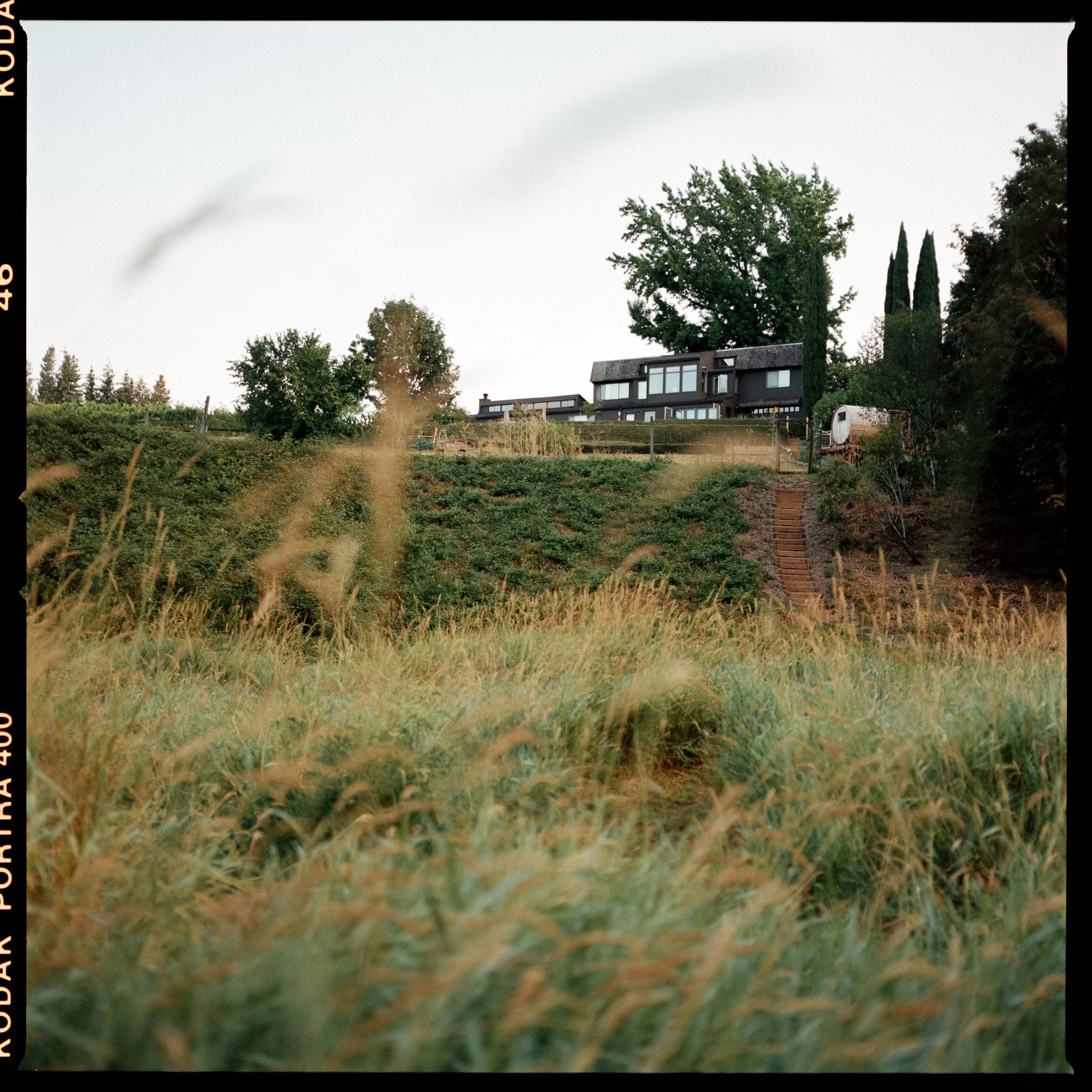 sostasummer24_hannahshea-82 (1).jpg