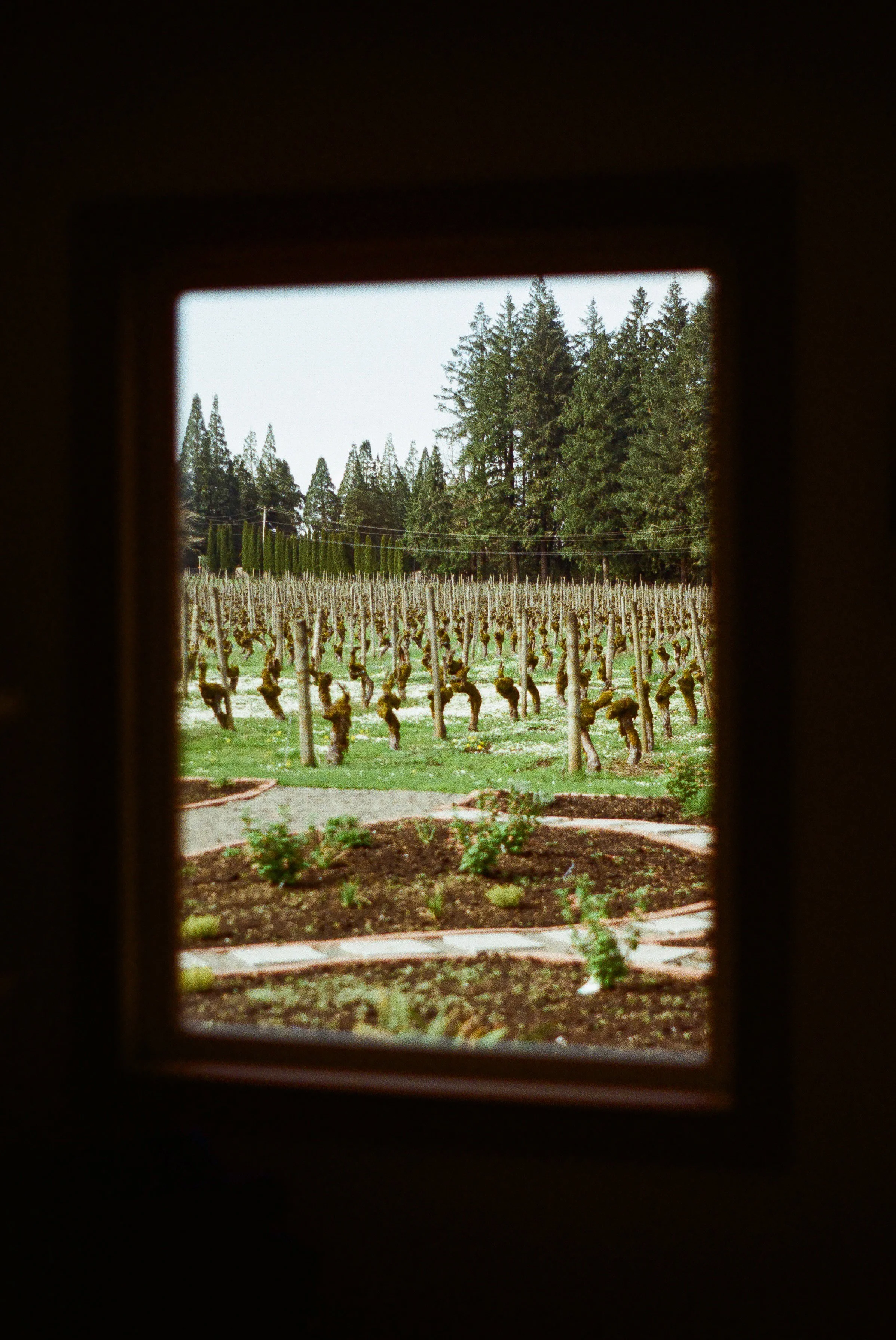 A074CC81-9CFD-4265-A694-45C501E820BE_1_201_a (1).jpg