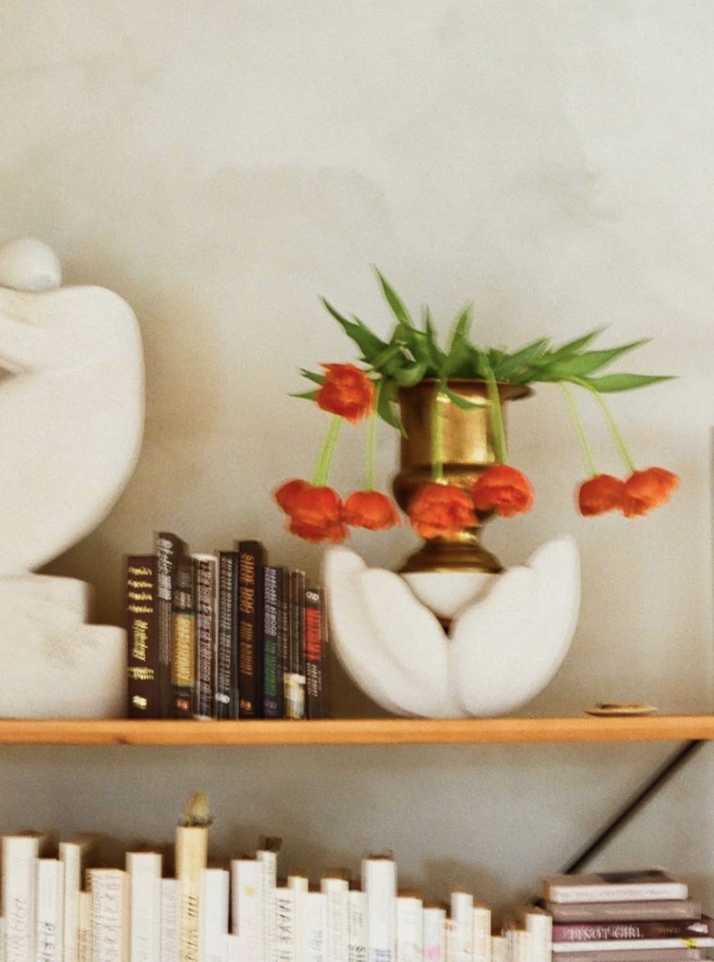 Screenshot 2026-02-09 at 12.03.58 PM.png