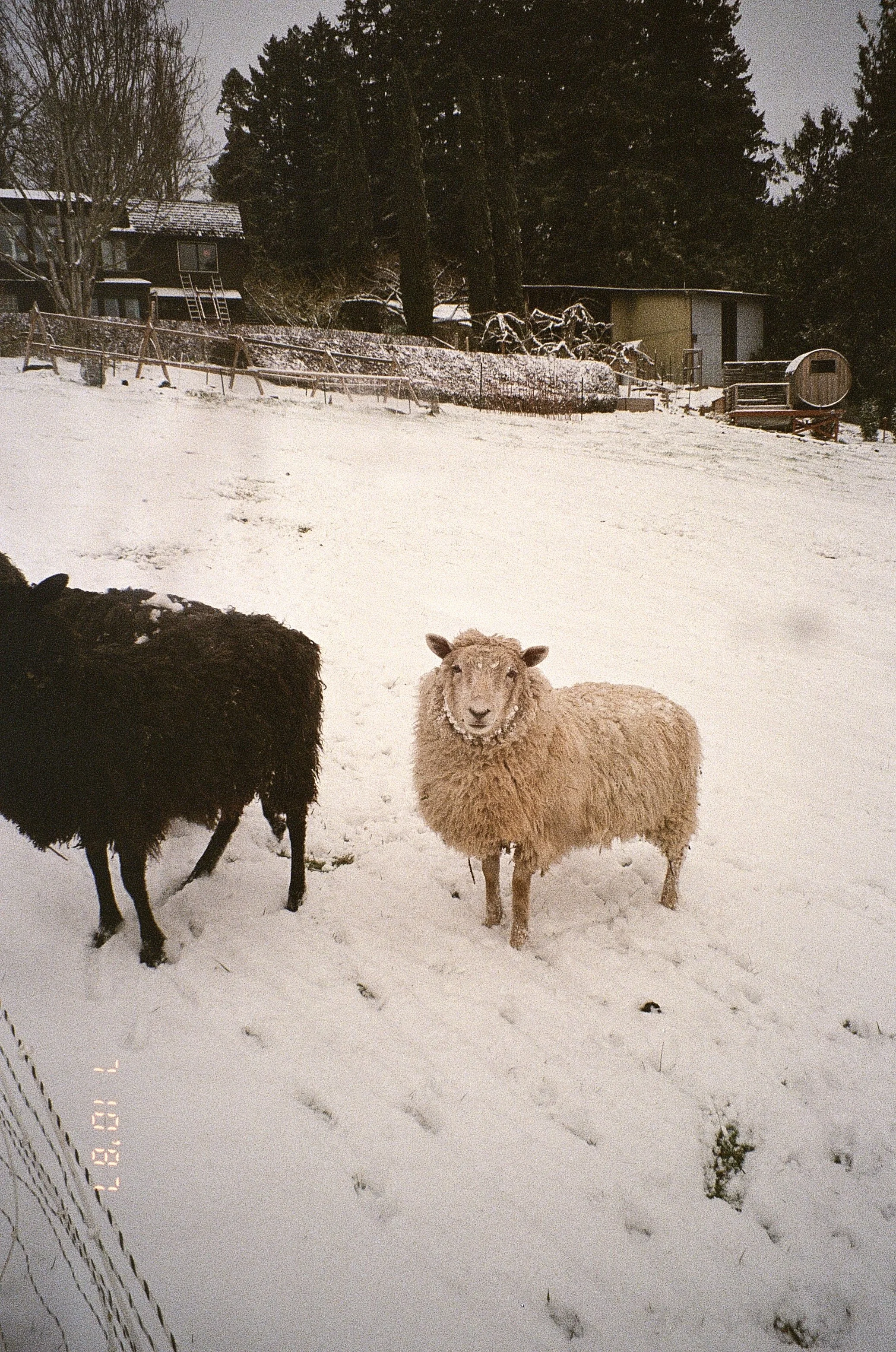 000036880015 (1).jpg