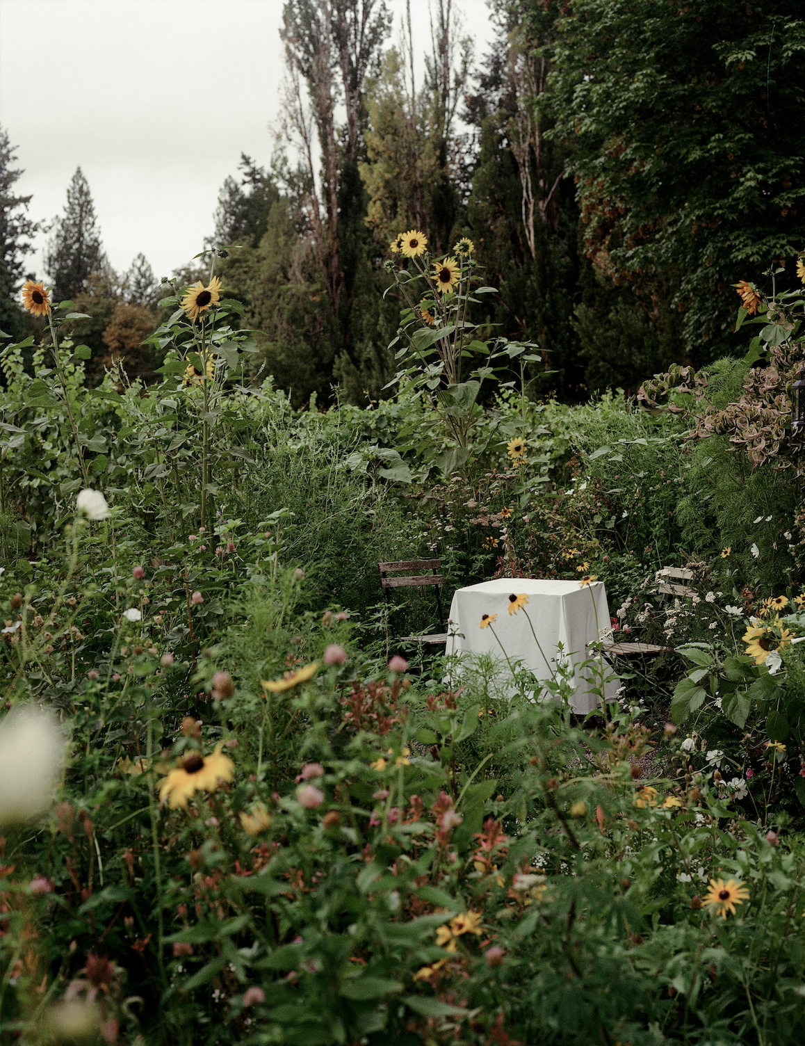 Screenshot 2026-02-09 at 11.34.12 AM.png