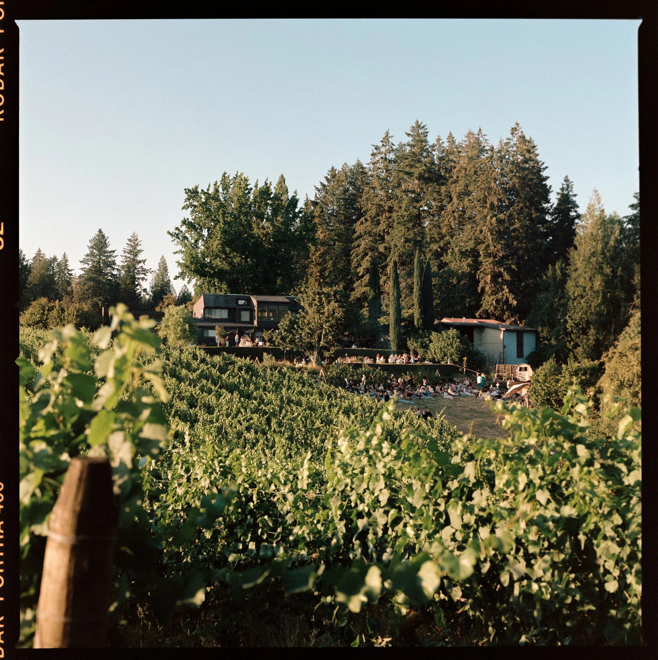 sostasummer24_hannahshea-18 (1).jpg