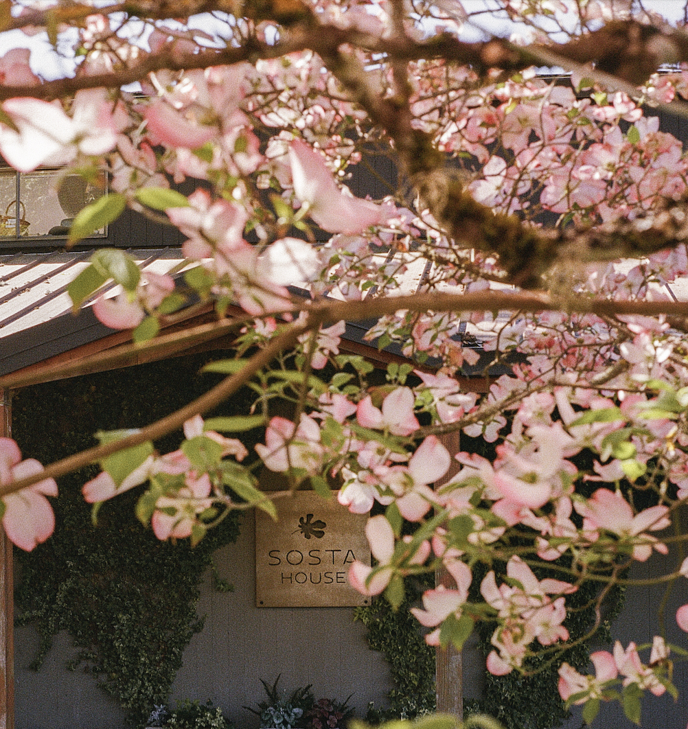 Screenshot 2026-02-09 at 12.25.47 PM.png