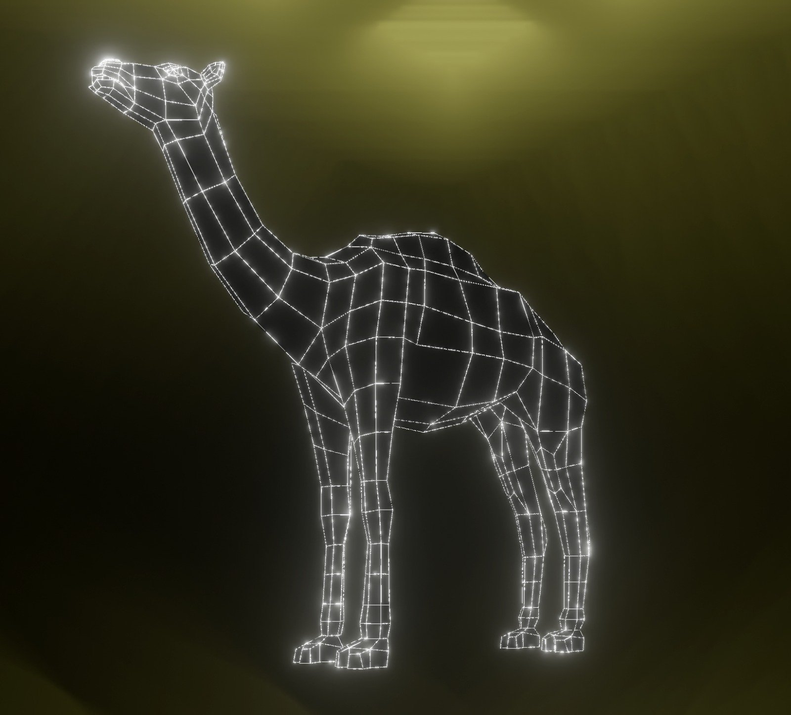 western_camel_2.jpeg