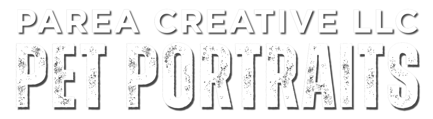PAREA CREATIVE LLC
