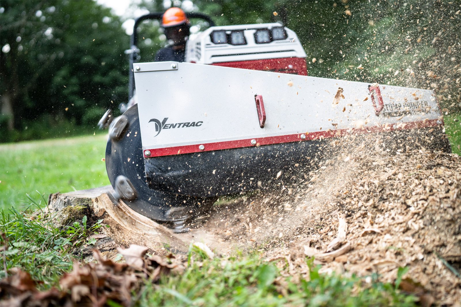 Stump Grinding