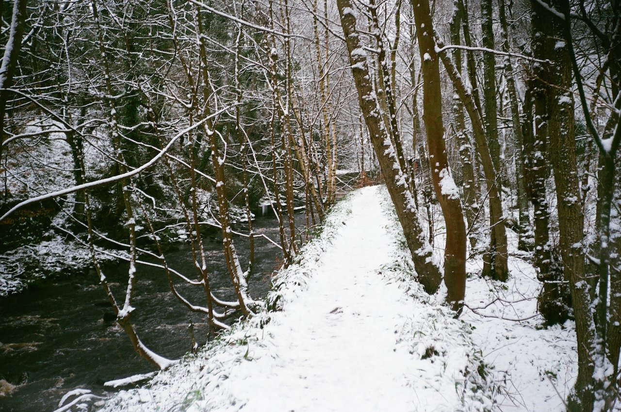 10600021_vMwgDPJ.jpg