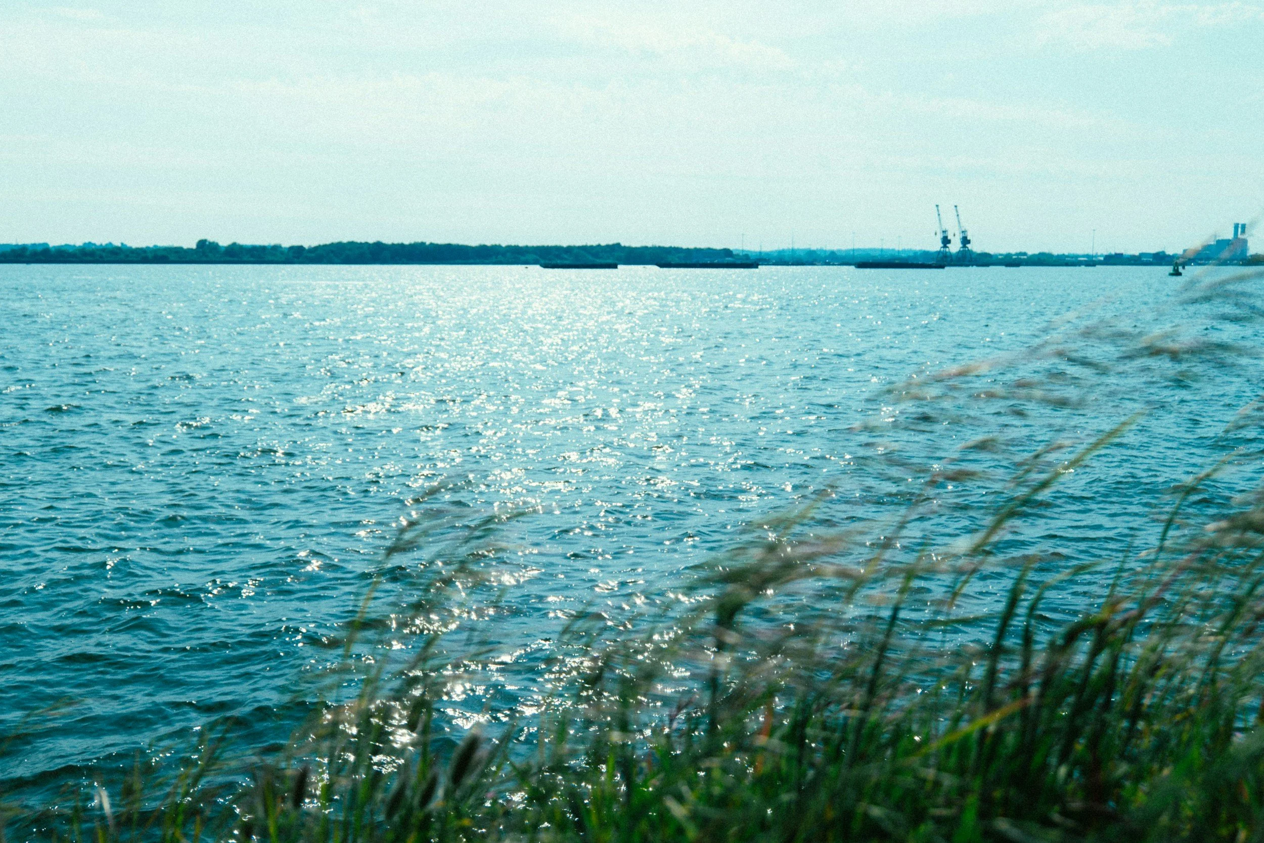 A body of water with green grass in the foreground, industrial cranes and structures on the horizon, and a clear sky.