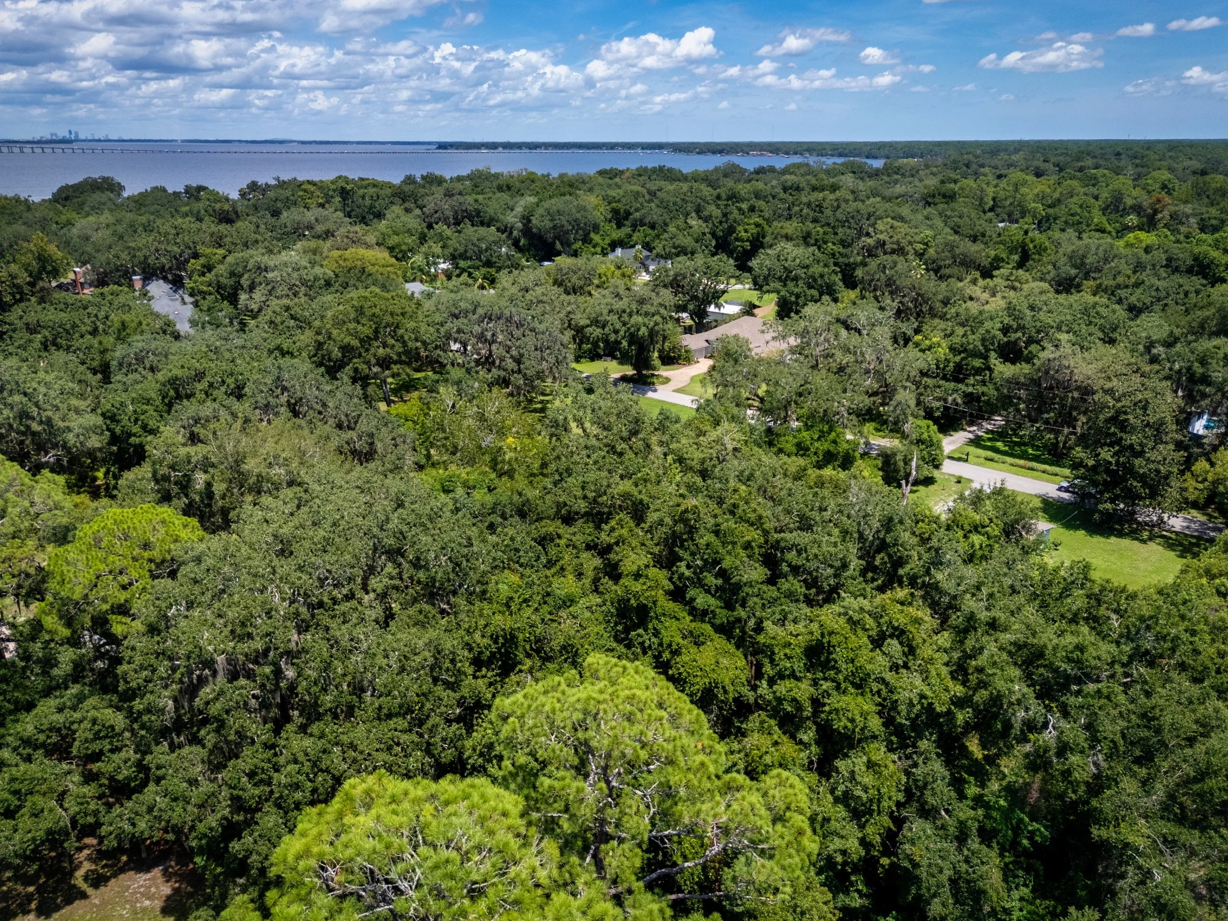 Aerial view of a lush, green residential neighborhood next to a large body of water, with a bridge in the distance on a partly cloudy day.