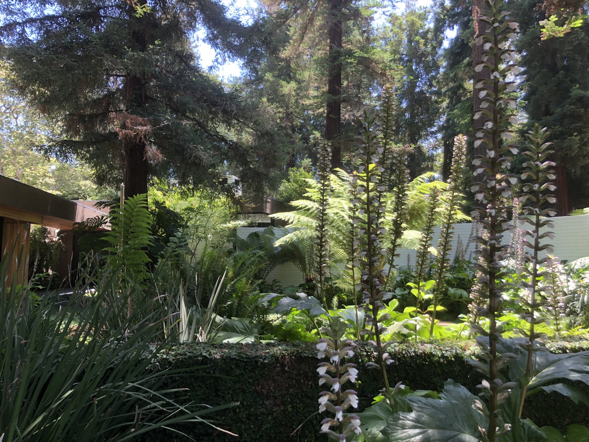 IMG_3289.jpeg