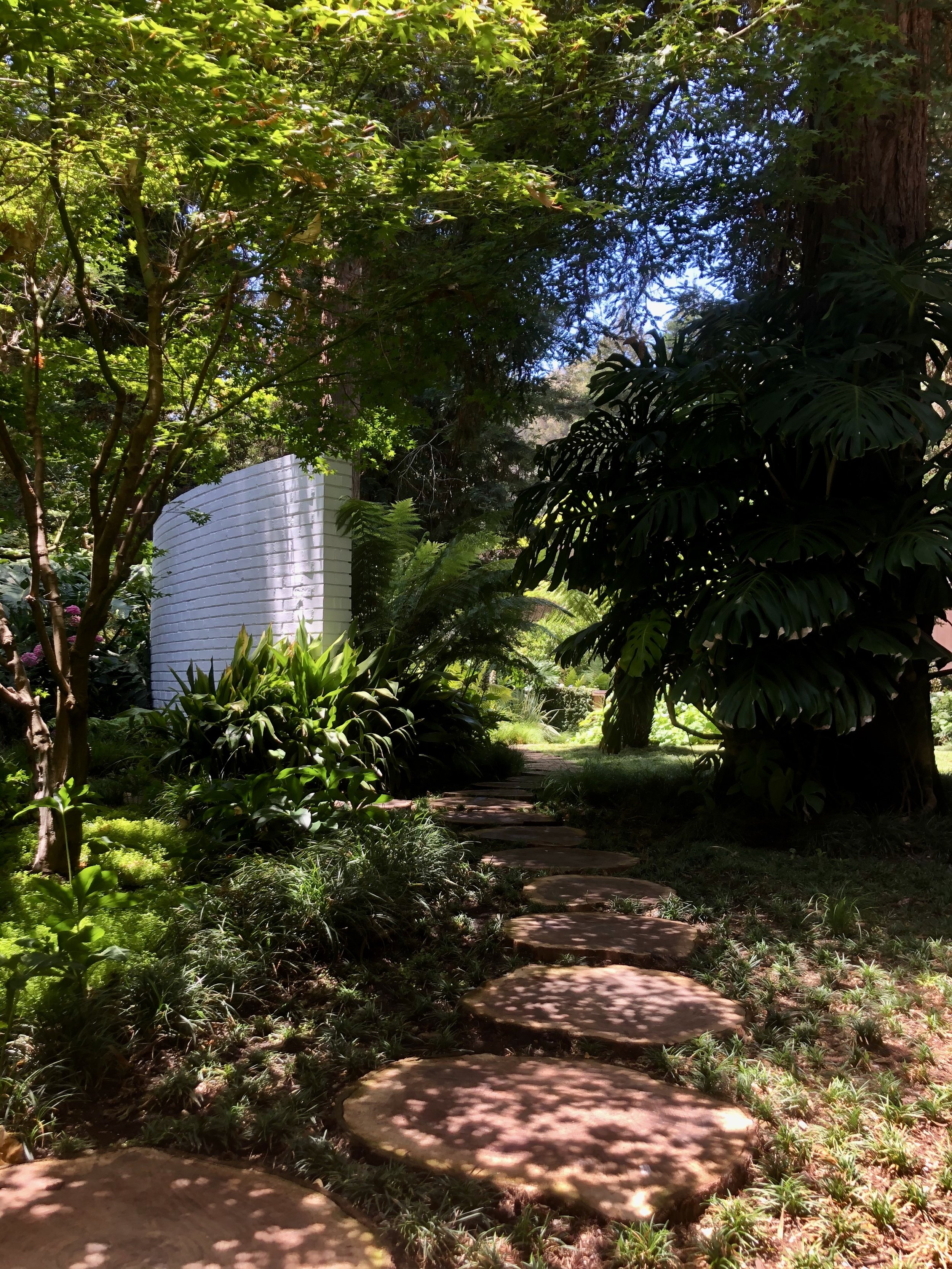 IMG_3286.jpeg