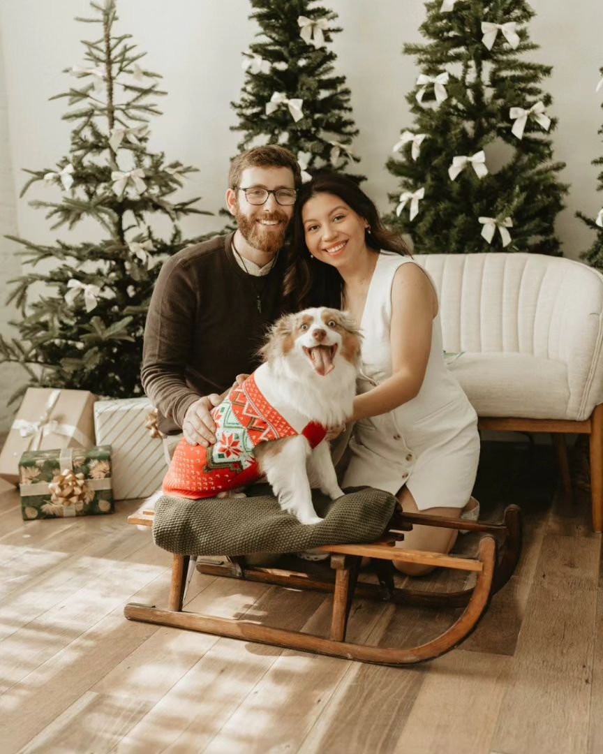 What a stunning christmas set up in the studio 🙌 

I wish I could post all of the photos from @jesswilliamsphotography, but here's just a few to show off her creativity! 

Studio bookings are 10% off through the end of the year! Bring your creative 