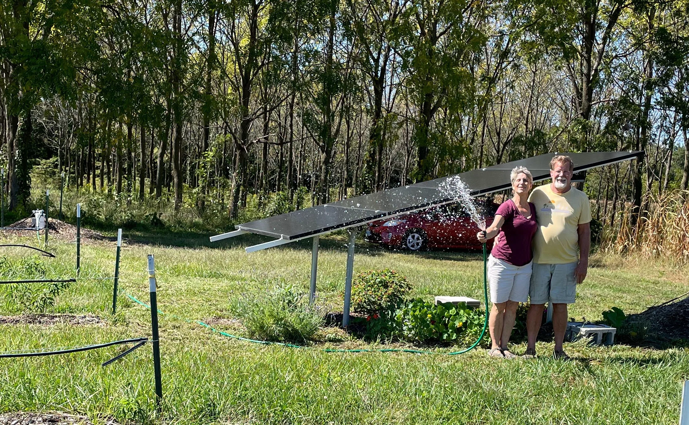 Turkeyfoot Creek Elderberry Farm Premium America Black Elderberries