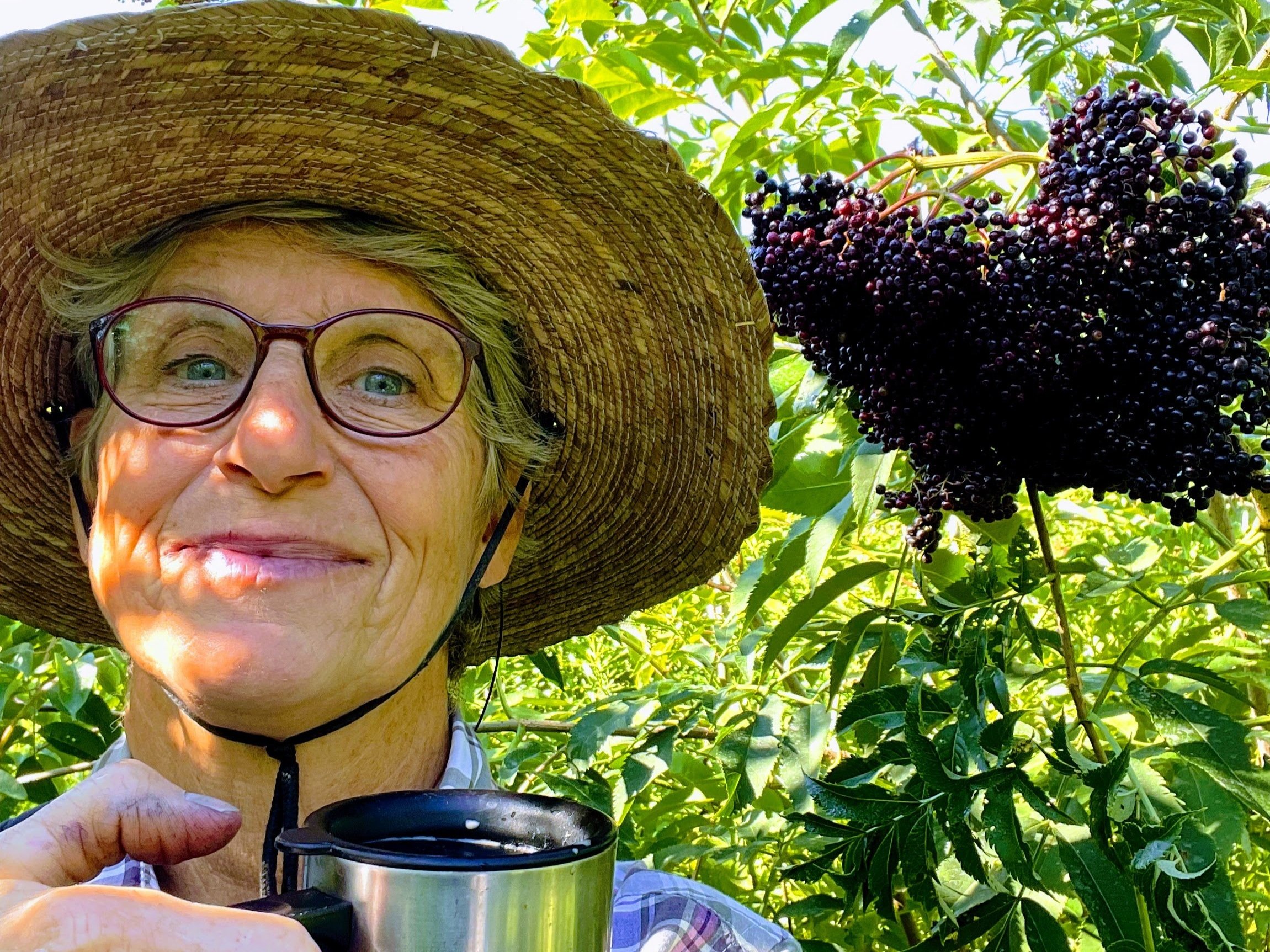 Turkeyfoot Creek Elderberry Farm Premium America Black Elderberries