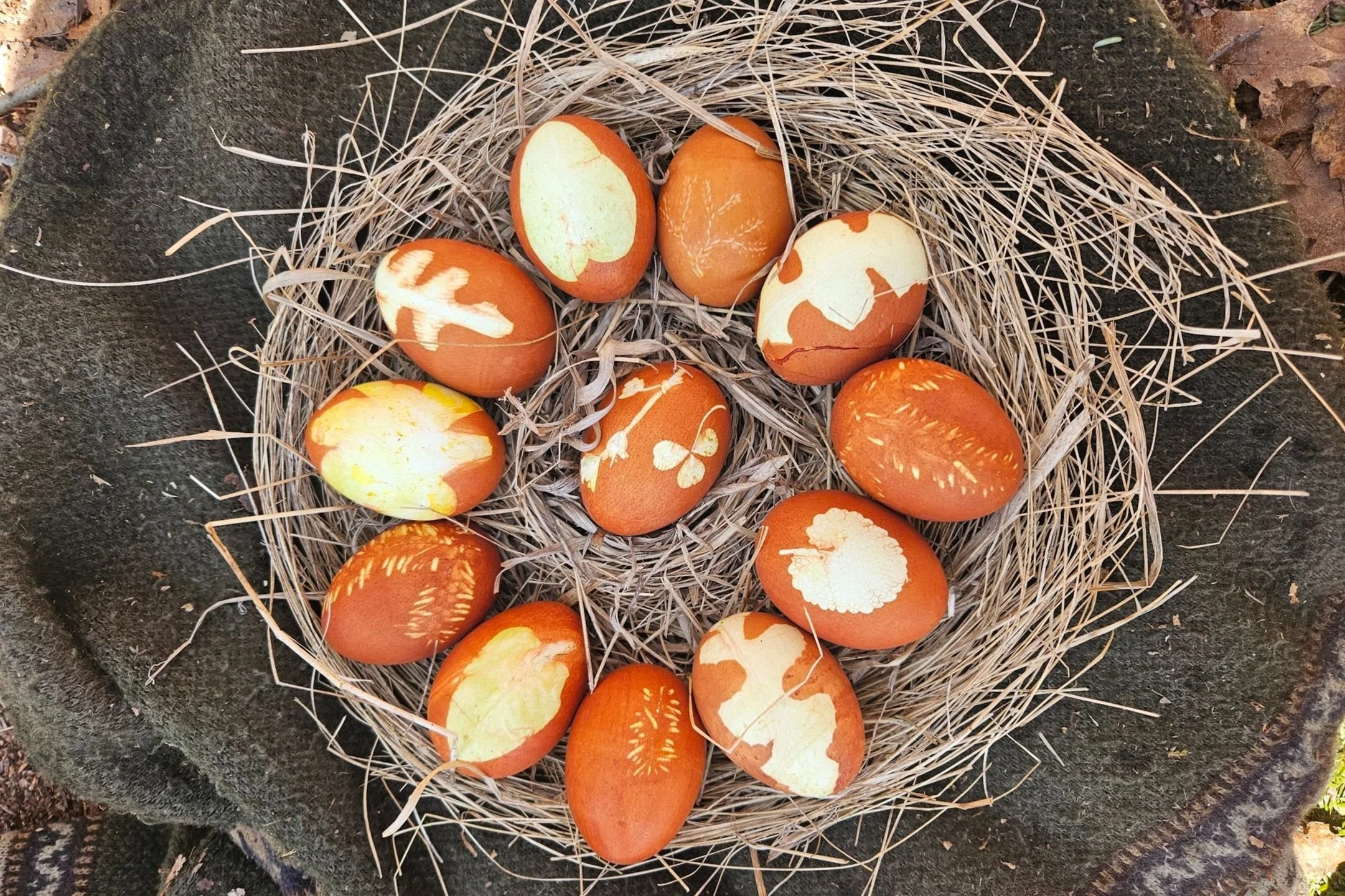 Spring 2025 Program Photos &amp; Fall Registration Update!