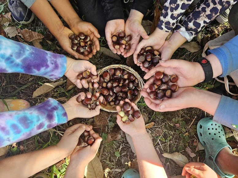 Fall 2024 Program Updates!