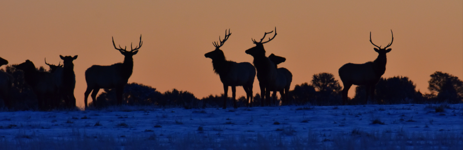 The Hunt: Reconnecting With Your Inner Fire