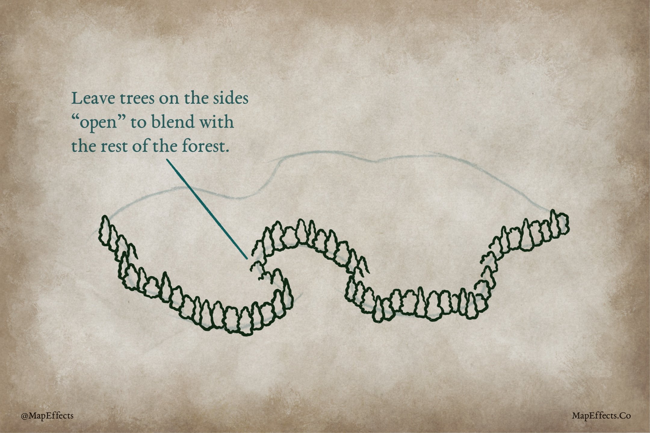 How to Draw Forests on Your Fantasy Map — Map Effects