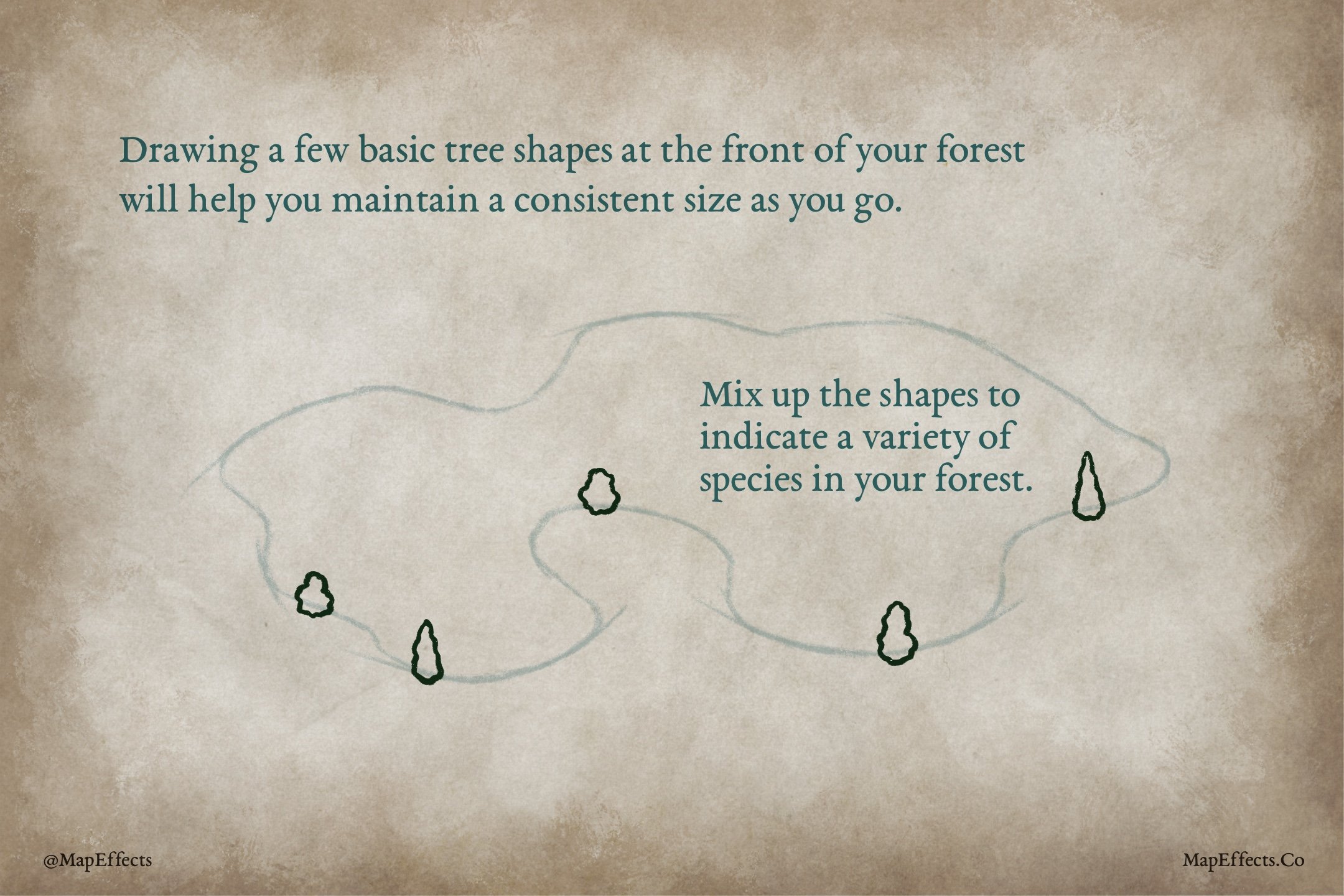 Draw Several Trees at the Front of thte Forest for Consistent Size