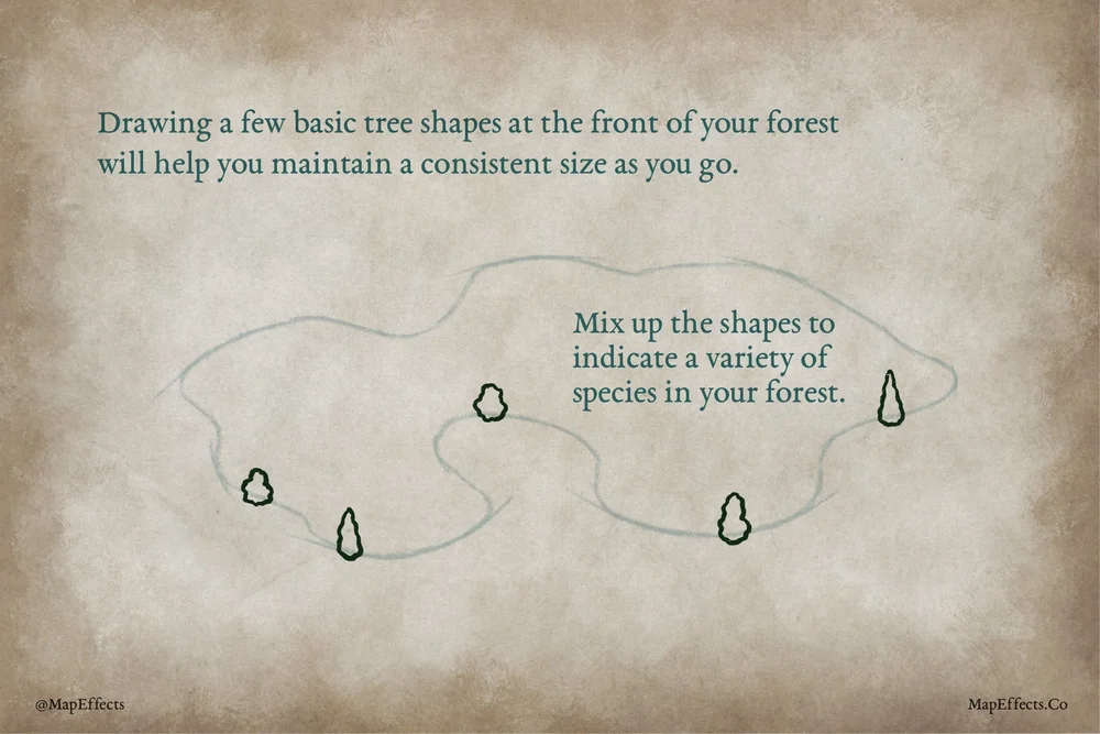 How to Draw Forests on Your Fantasy Map — Map Effects
