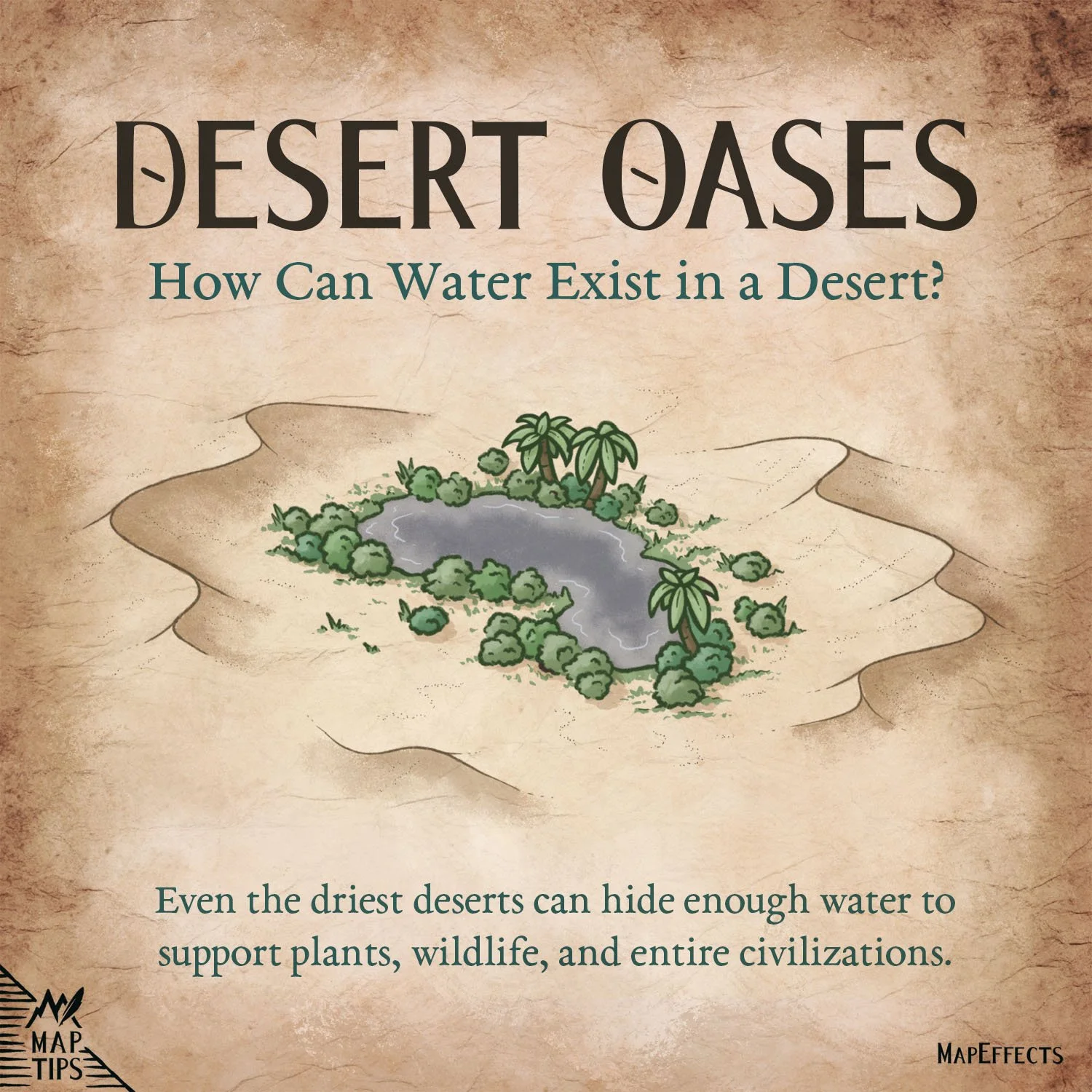 Illustration of a desert oasis with a freshwater pond, palm trees, and vegetation surrounded by sand, explaining how water can exist in a desert.