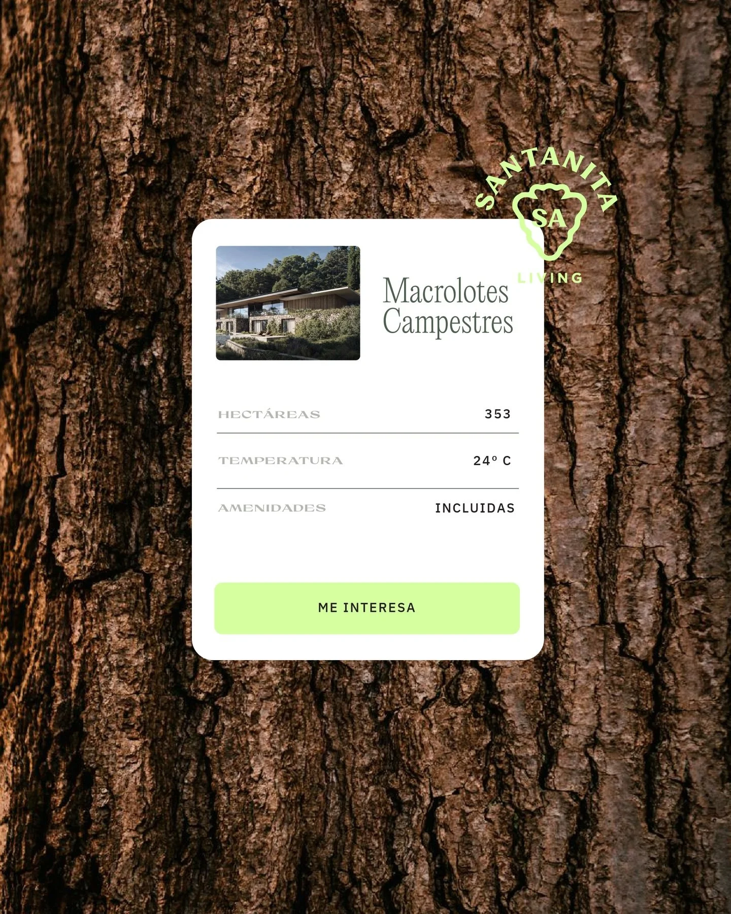 Not every brand move is loud. Some of the most important ones happen in the details. For Santa Anita, we explored how the identity could feel stronger, clearer, and more ownable through subtle visual decisions that shape the way the brand behaves in 