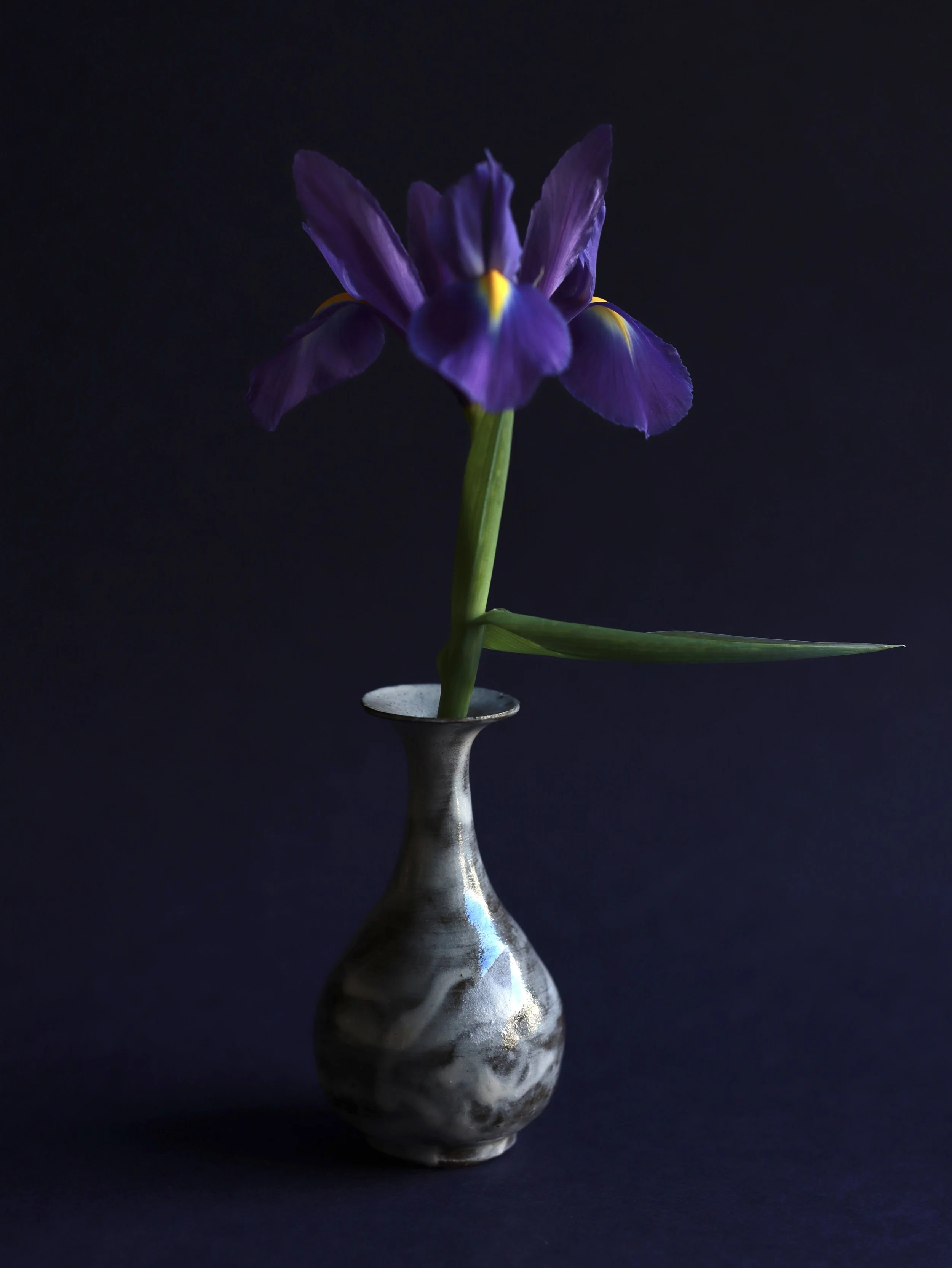 Kosi II, iris with clay vase by Kosi Hidama