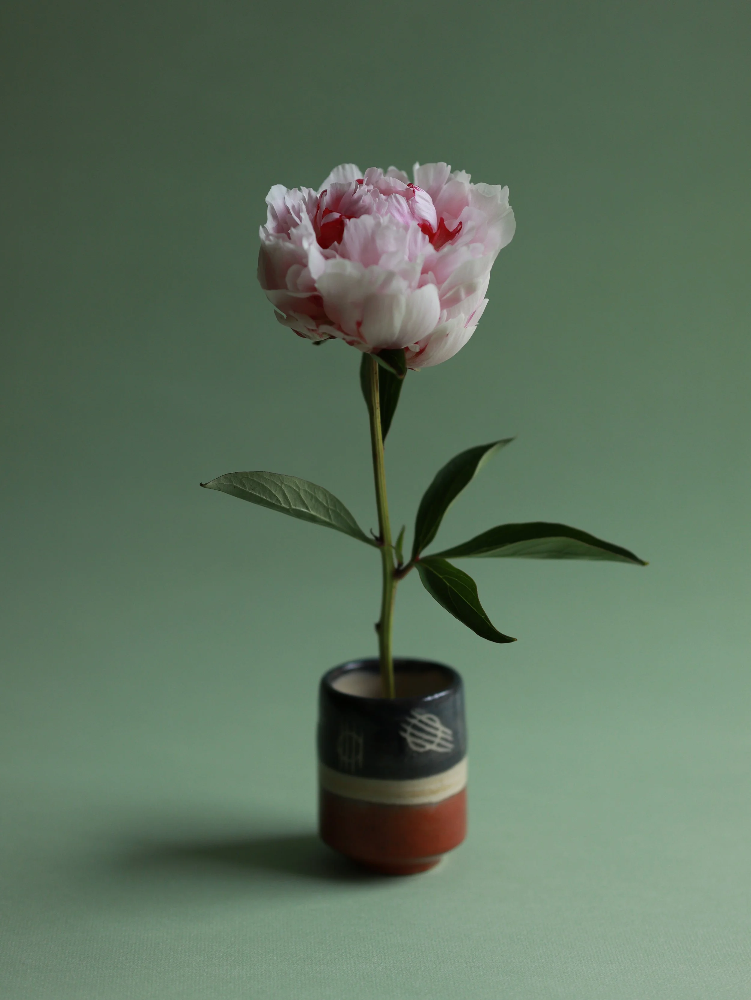 Sigi, peony with clay cup by Sigrid Sandker